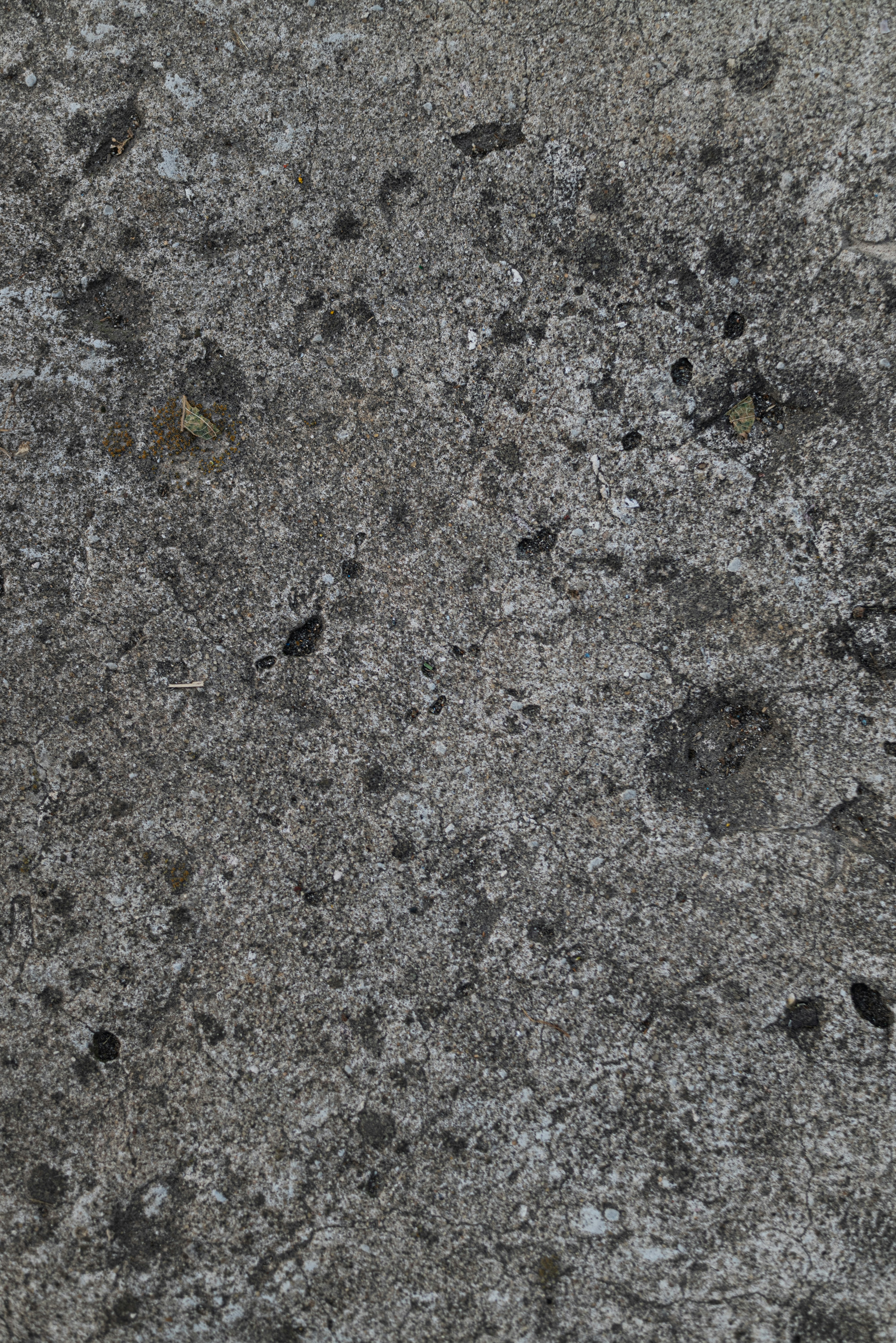 Photo by andrilliardbond