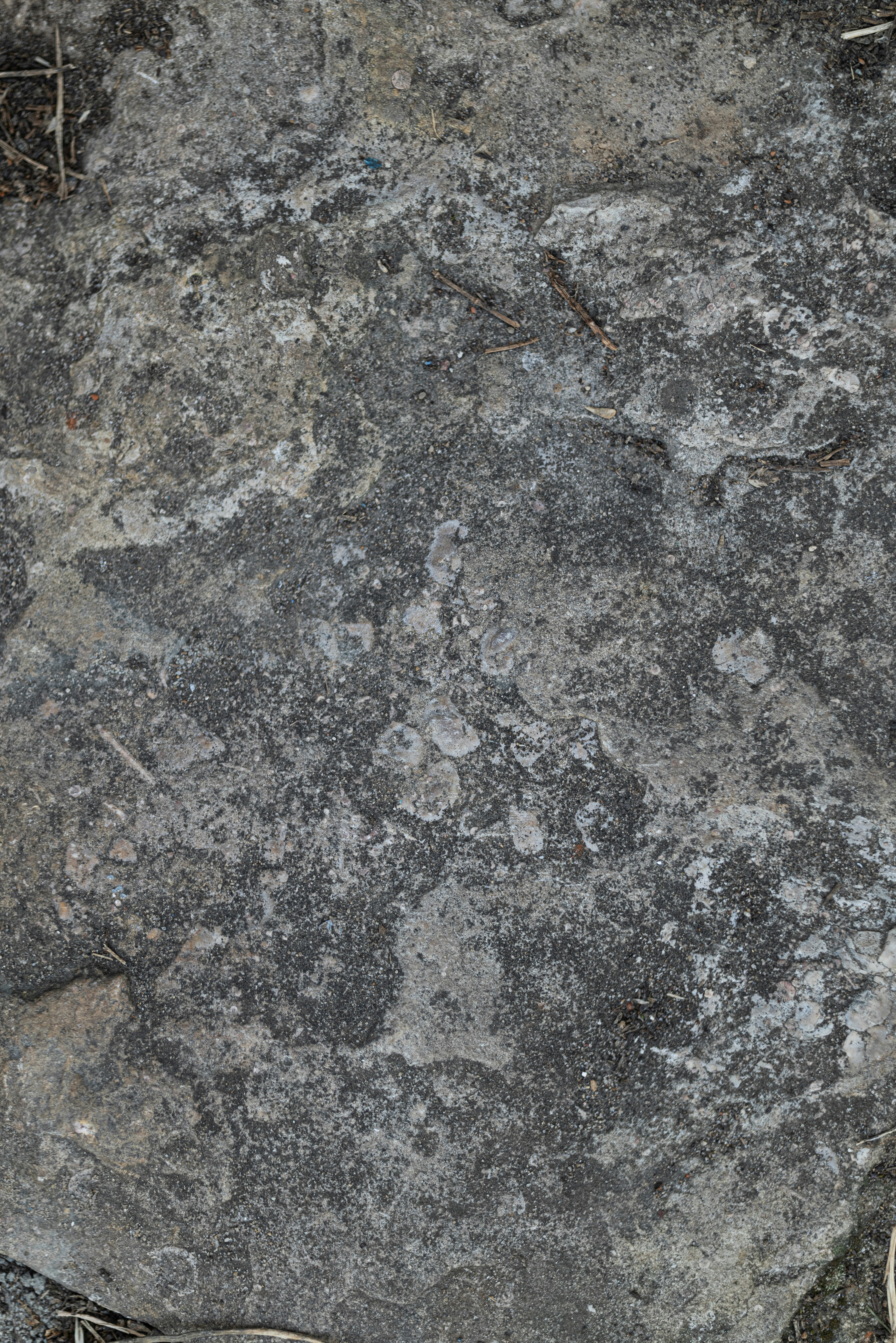 Photo by andrilliardbond