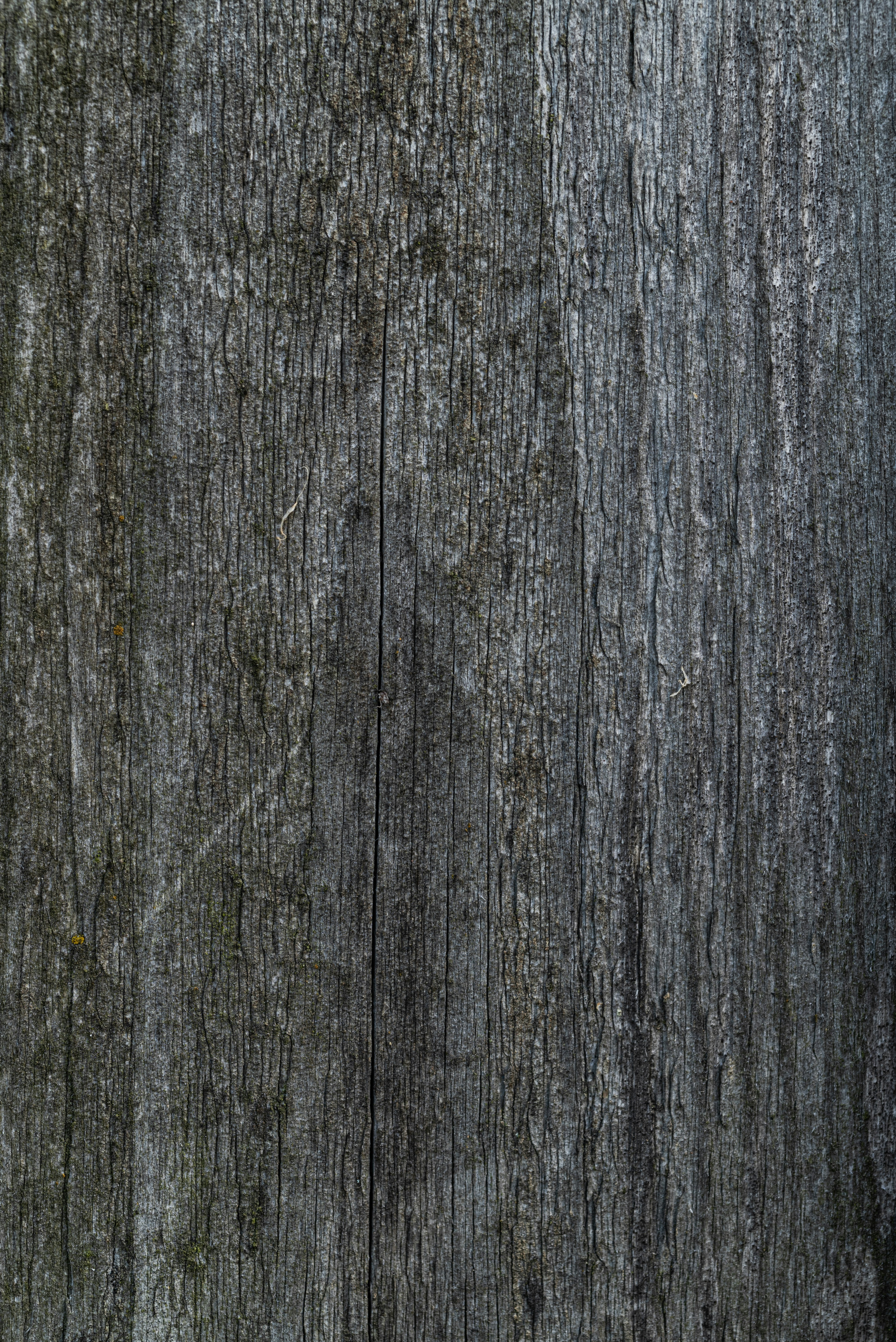 Photo by andrilliardbond