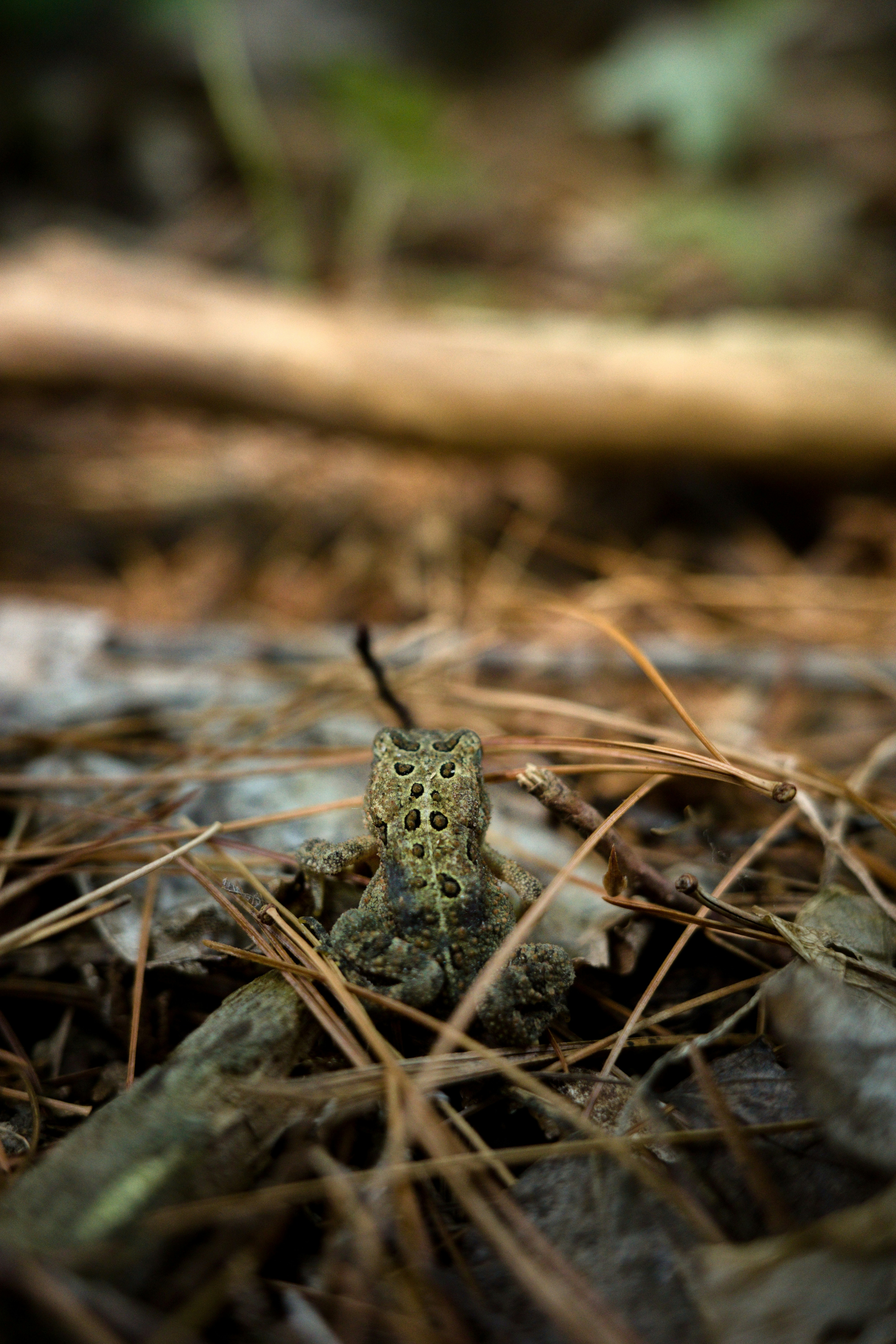 Photo by cam_ballard