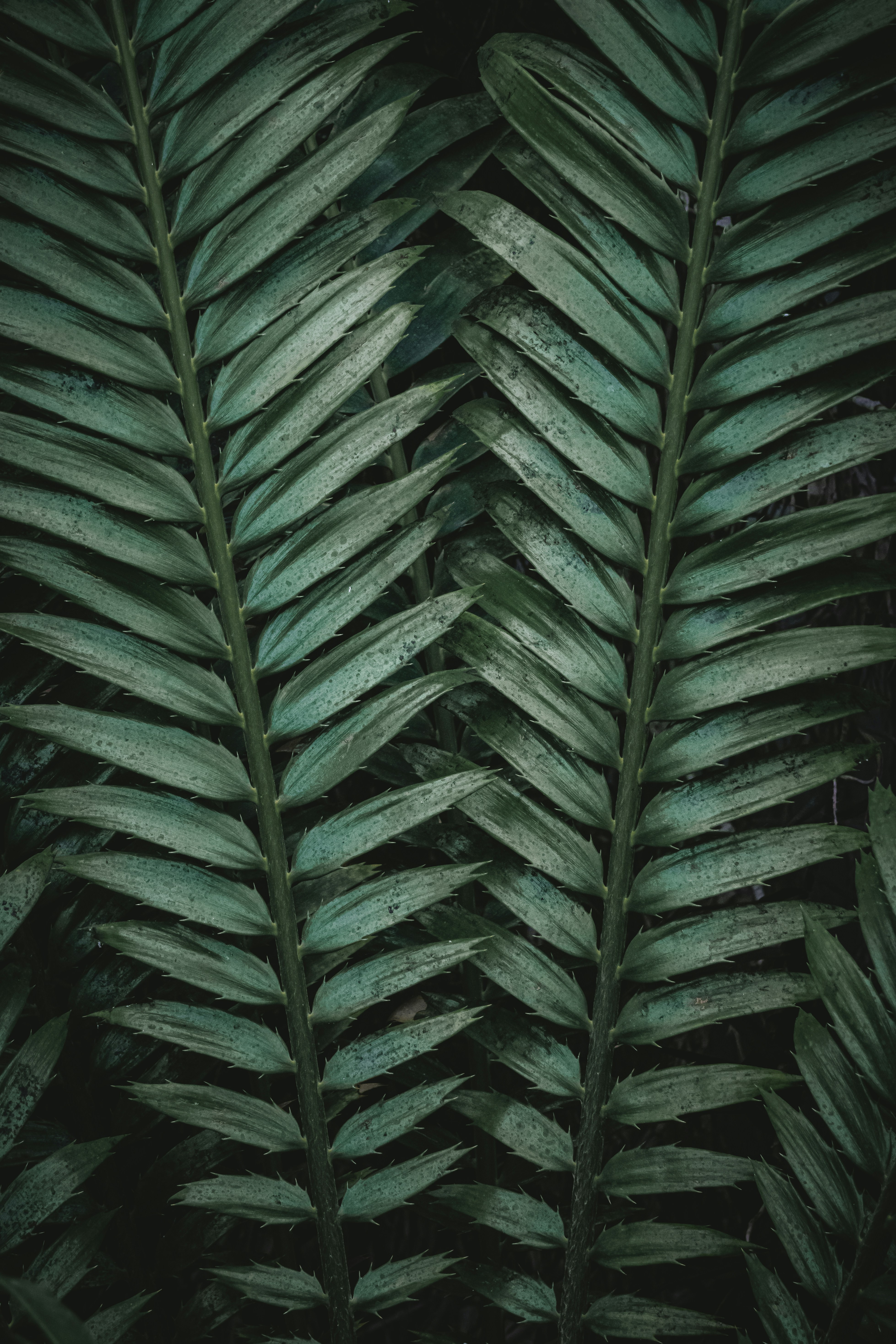 Photo by patrycja_chociej