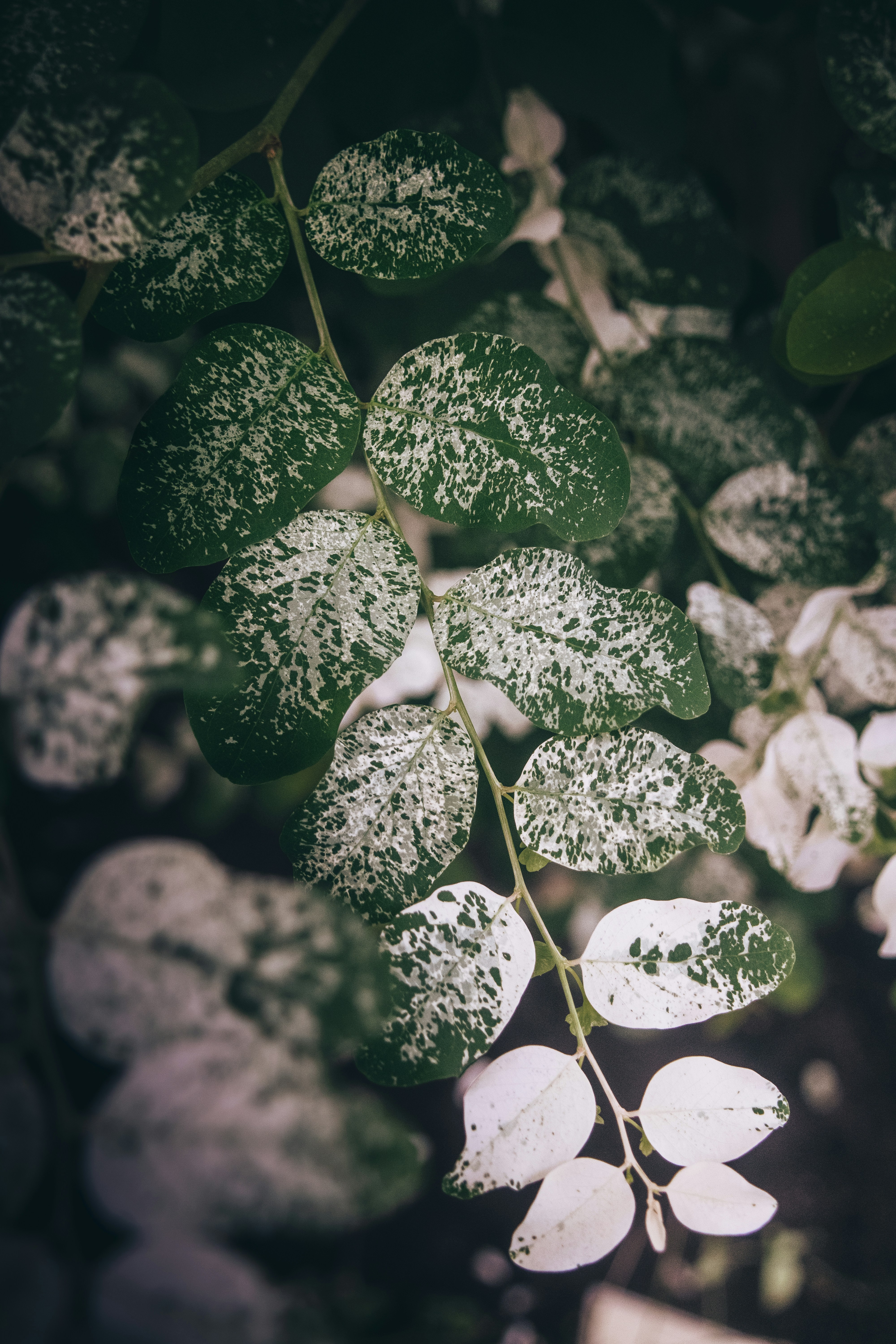 Photo by patrycja_chociej