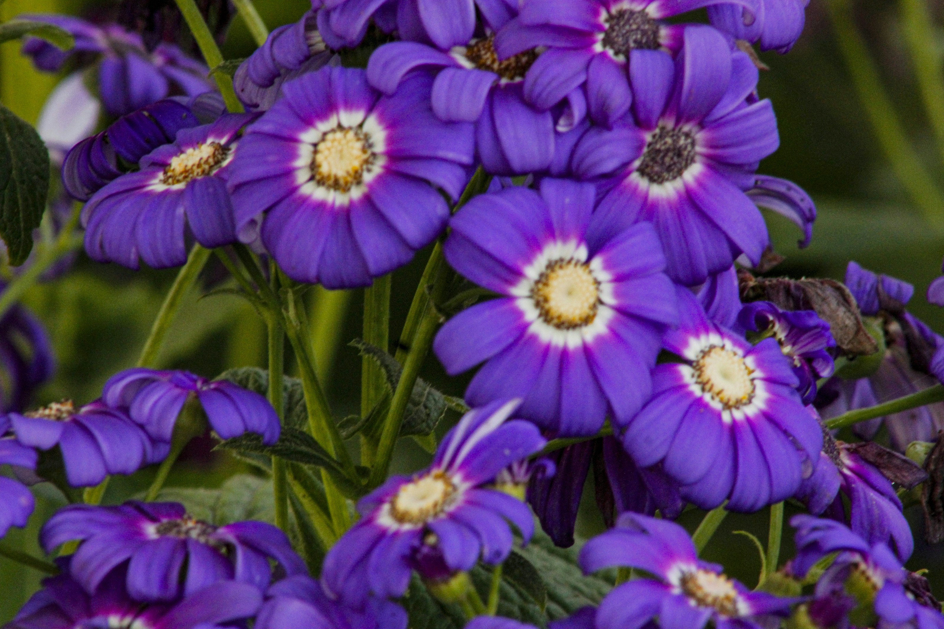 Photo by varunnmehra