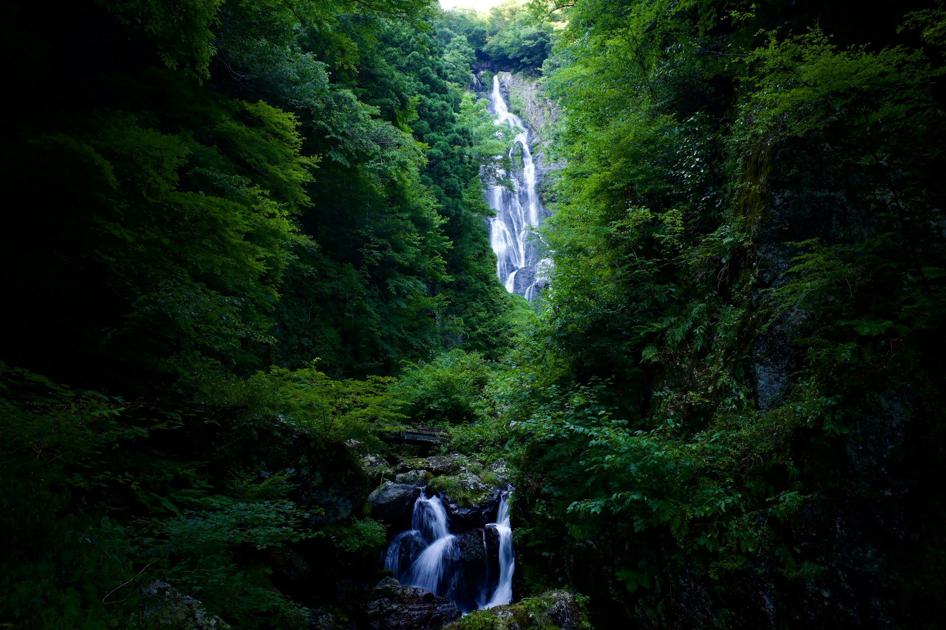 A tall waterfall cascades through lush, green foliage.