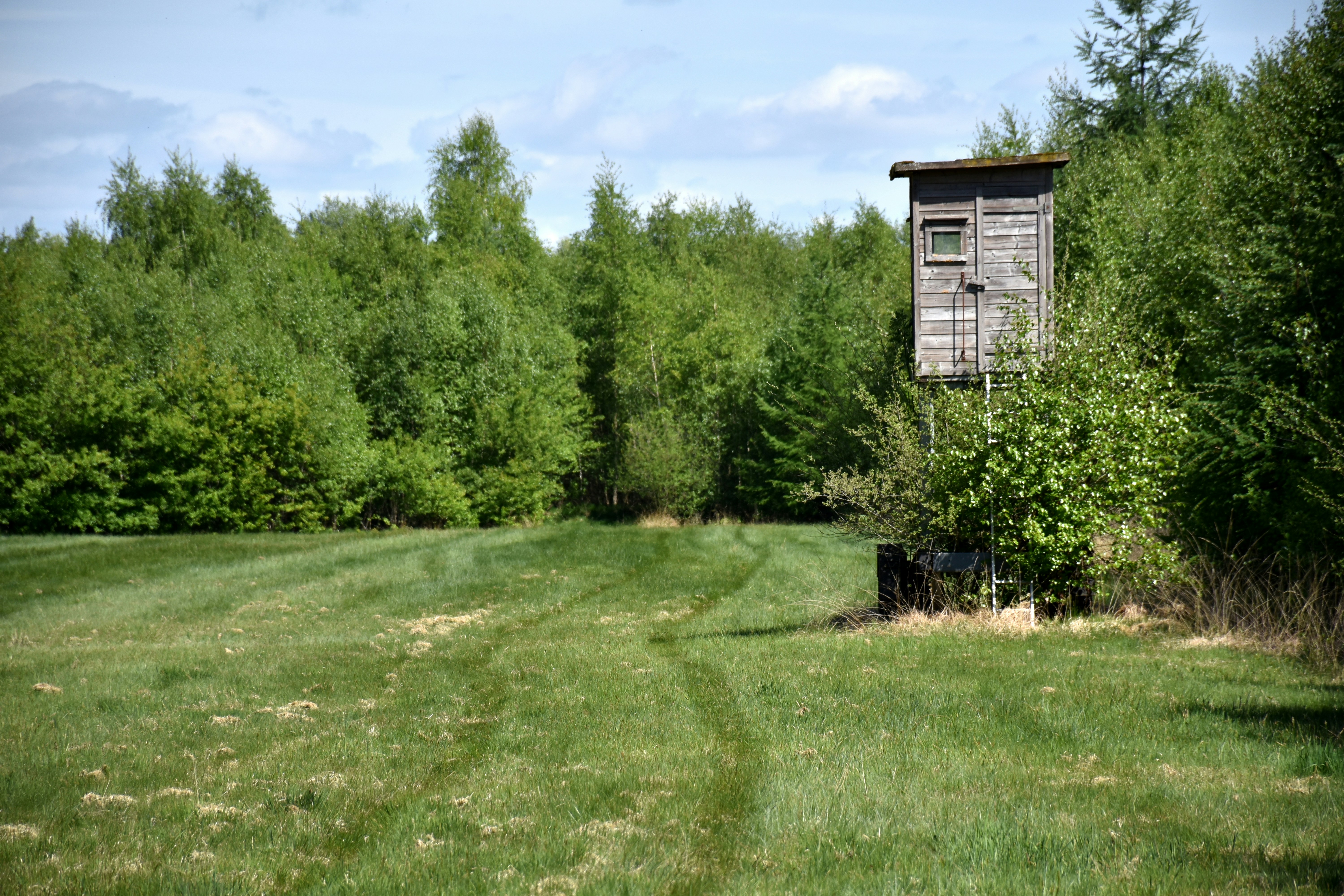 A hunting stand sits next to lush green trees.