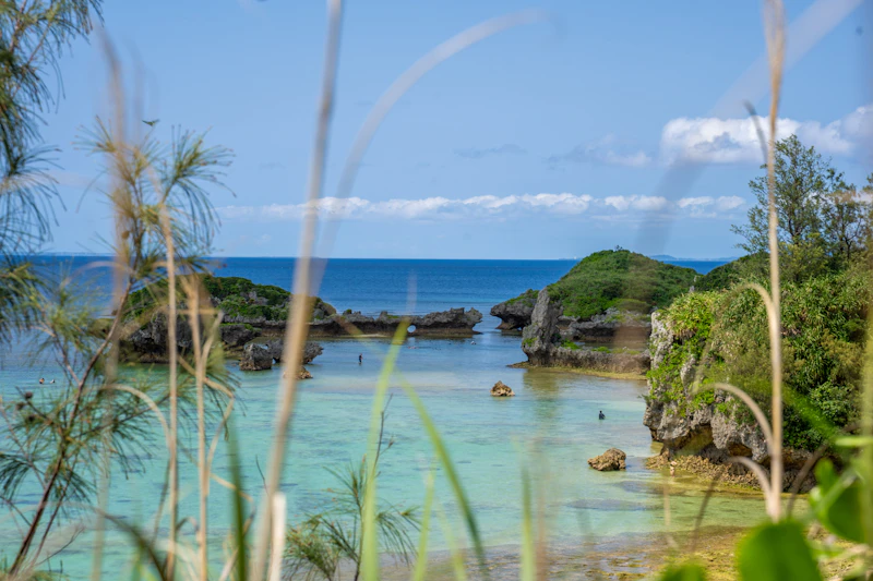 Sado Island: Earth Celebration Festival, Gold Mines & Toki Birds