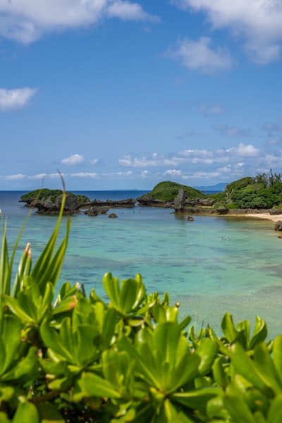 오키나와 여름 여행 완벽 가이드