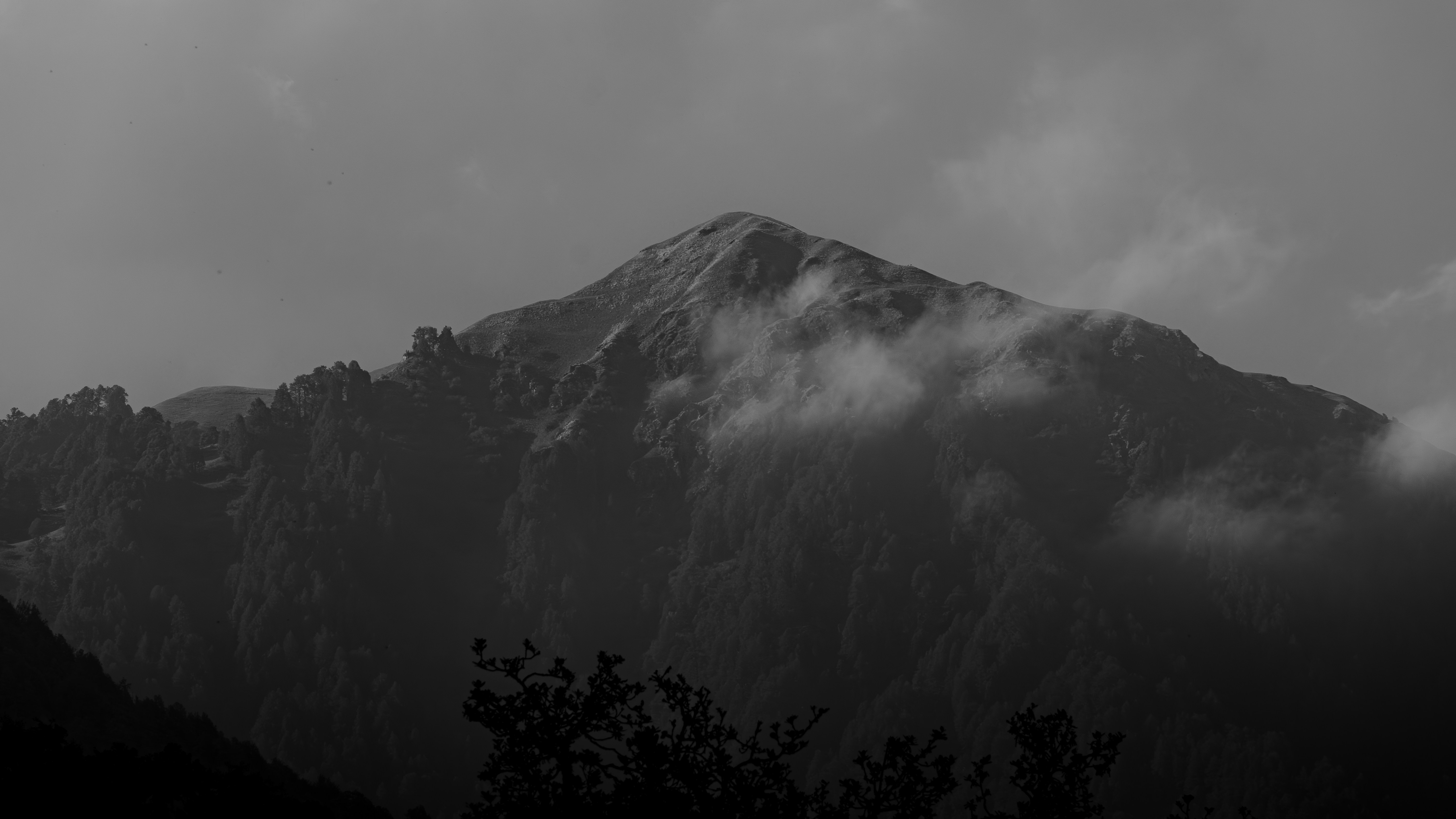 Photo by suryadoingstuff