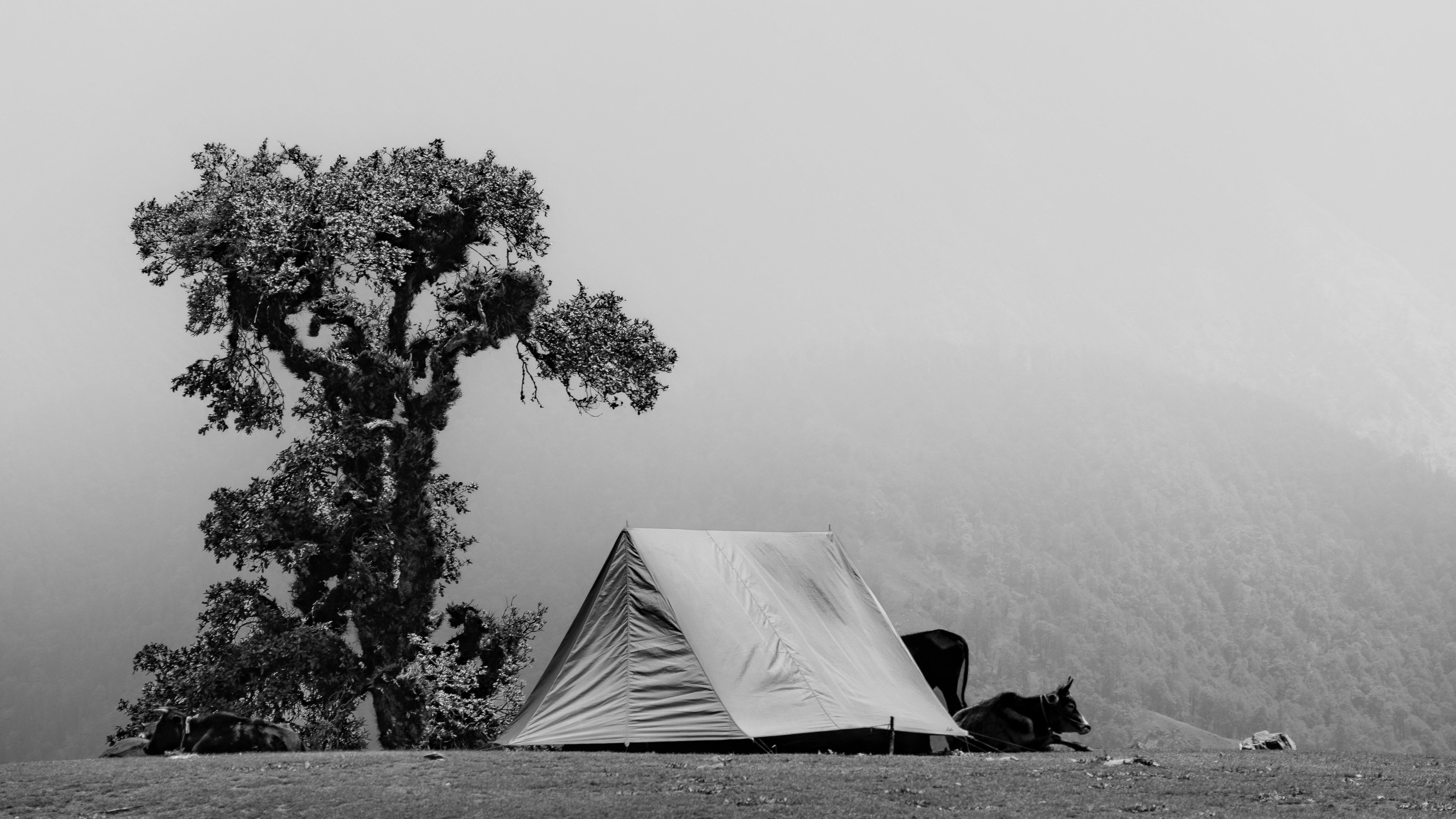 Camp Jordan Ultimate Fields, "The Hole" 1 & 2