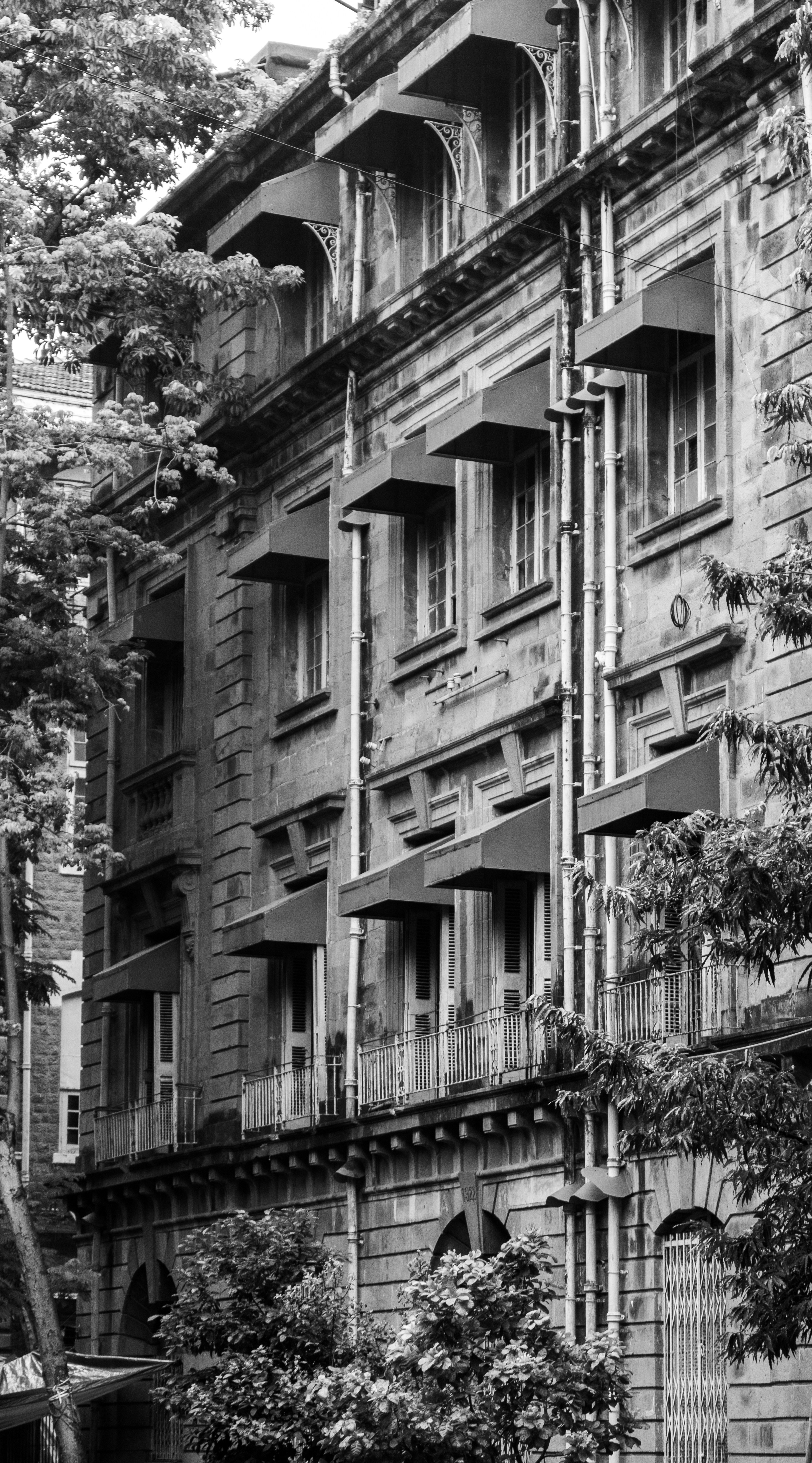 Photo by zoshuacolah