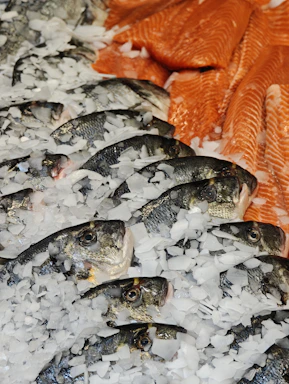 Fresh fish and salmon are displayed on ice.