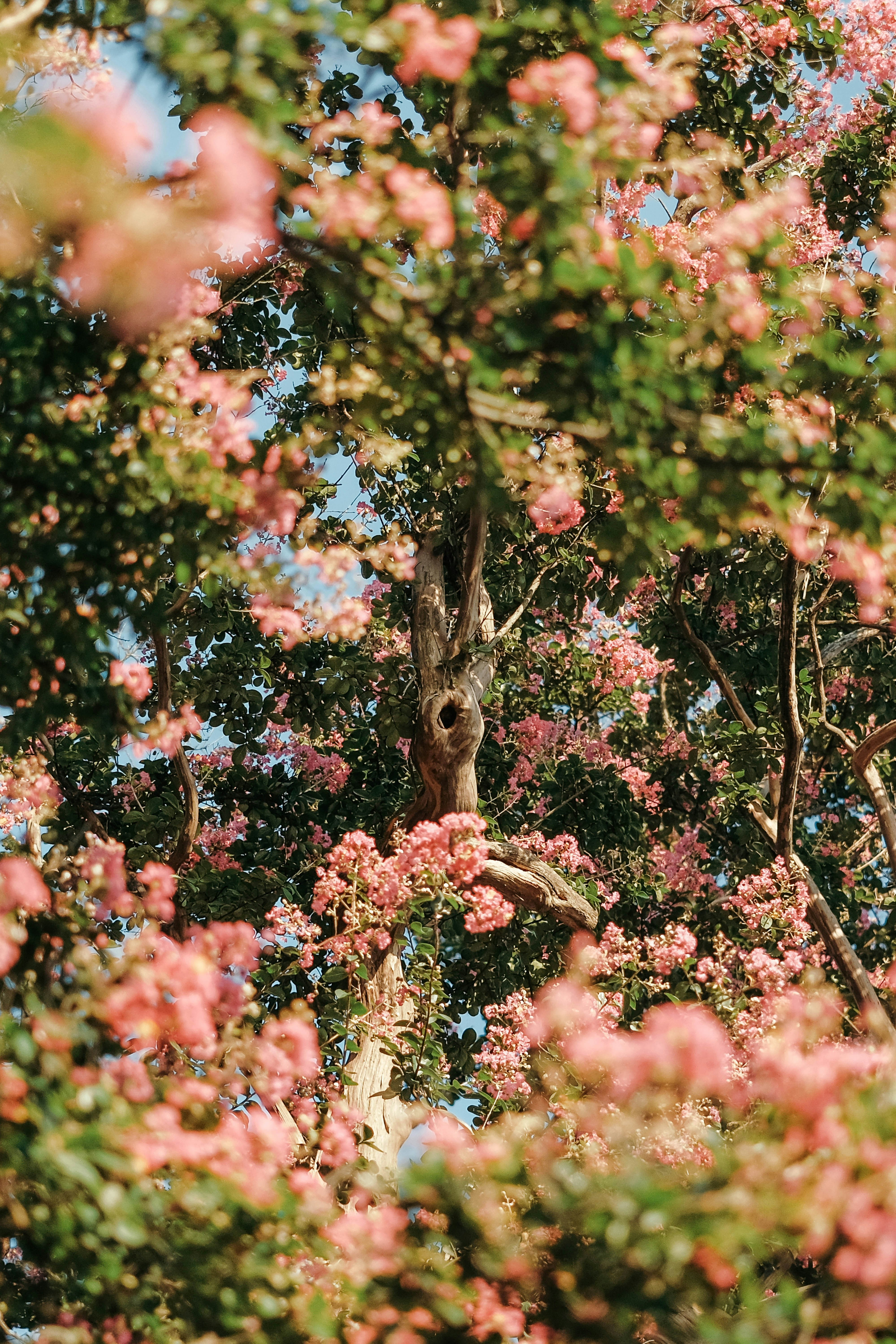 Photo by insungpandora