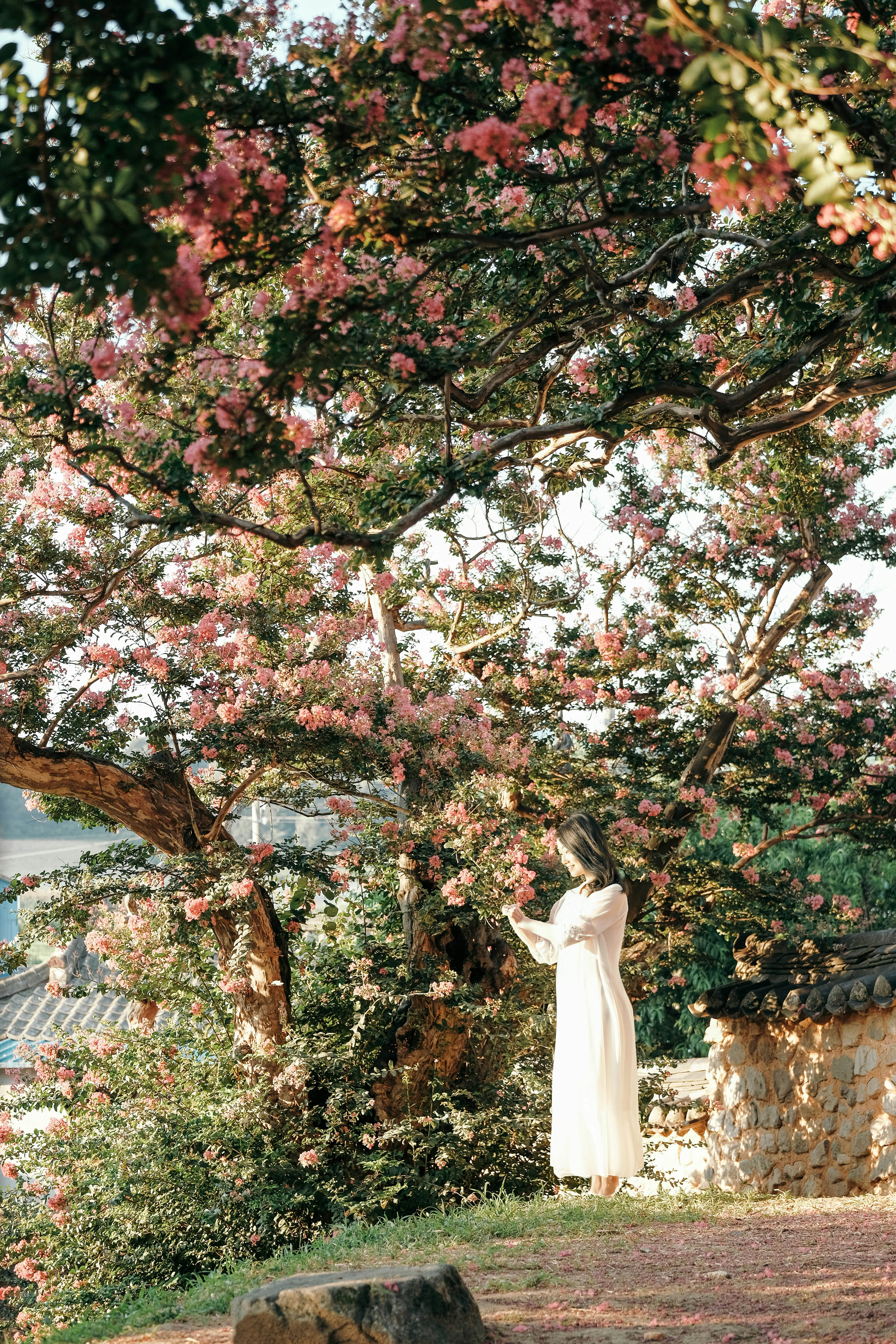 Photo by insungpandora