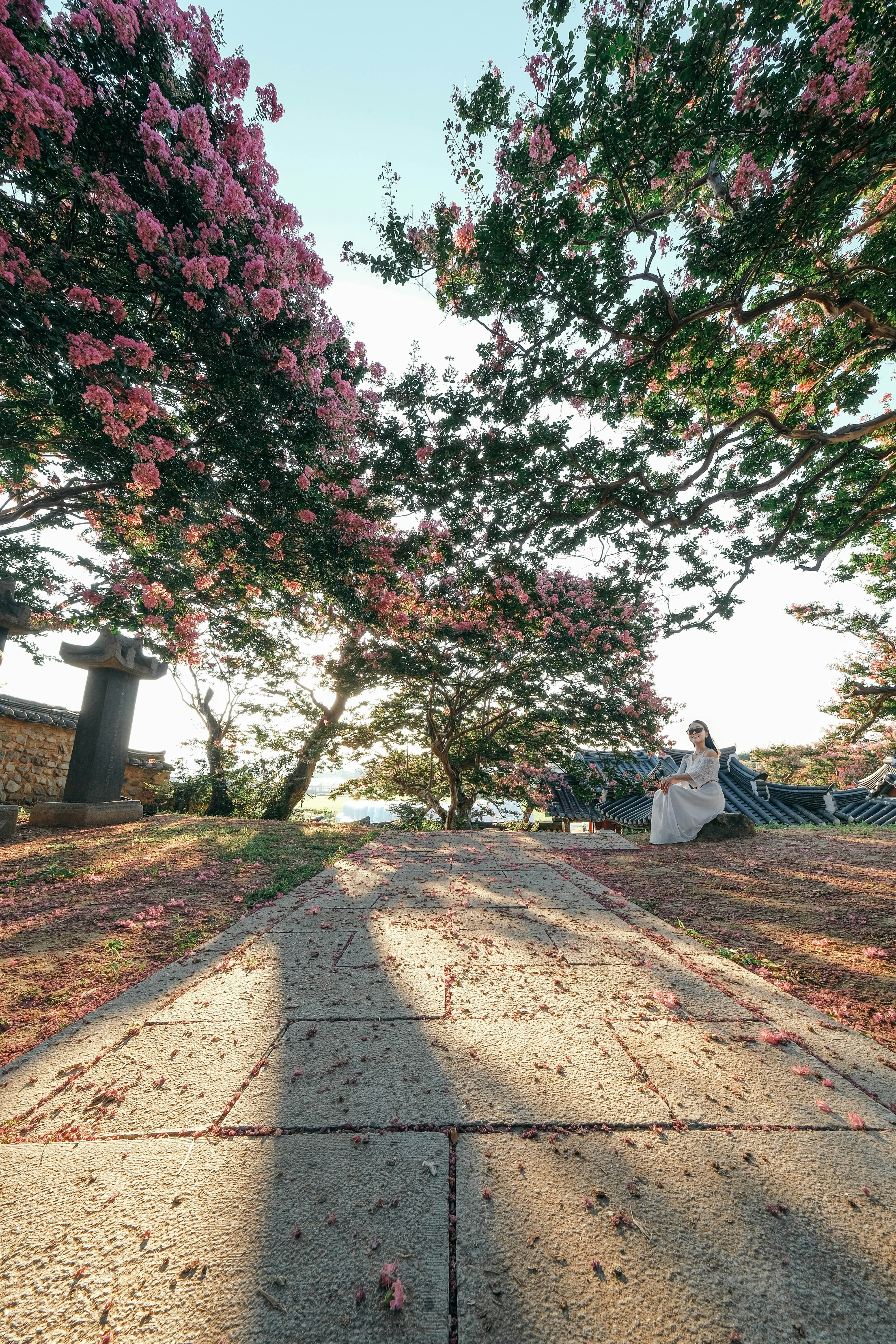 Beautiful flowers bloom, and a woman sits below