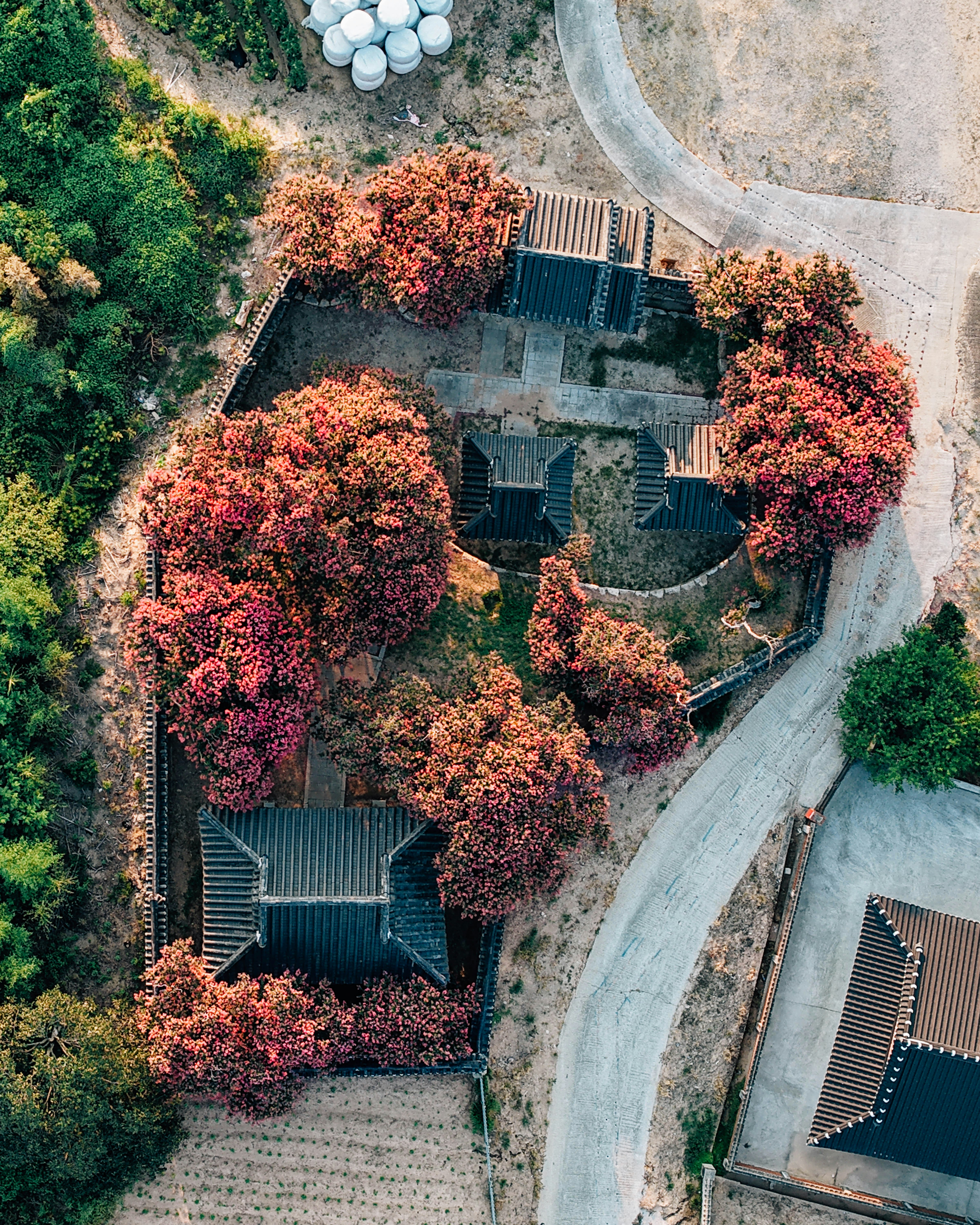 Aerial view of a traditional building surrounded by trees.