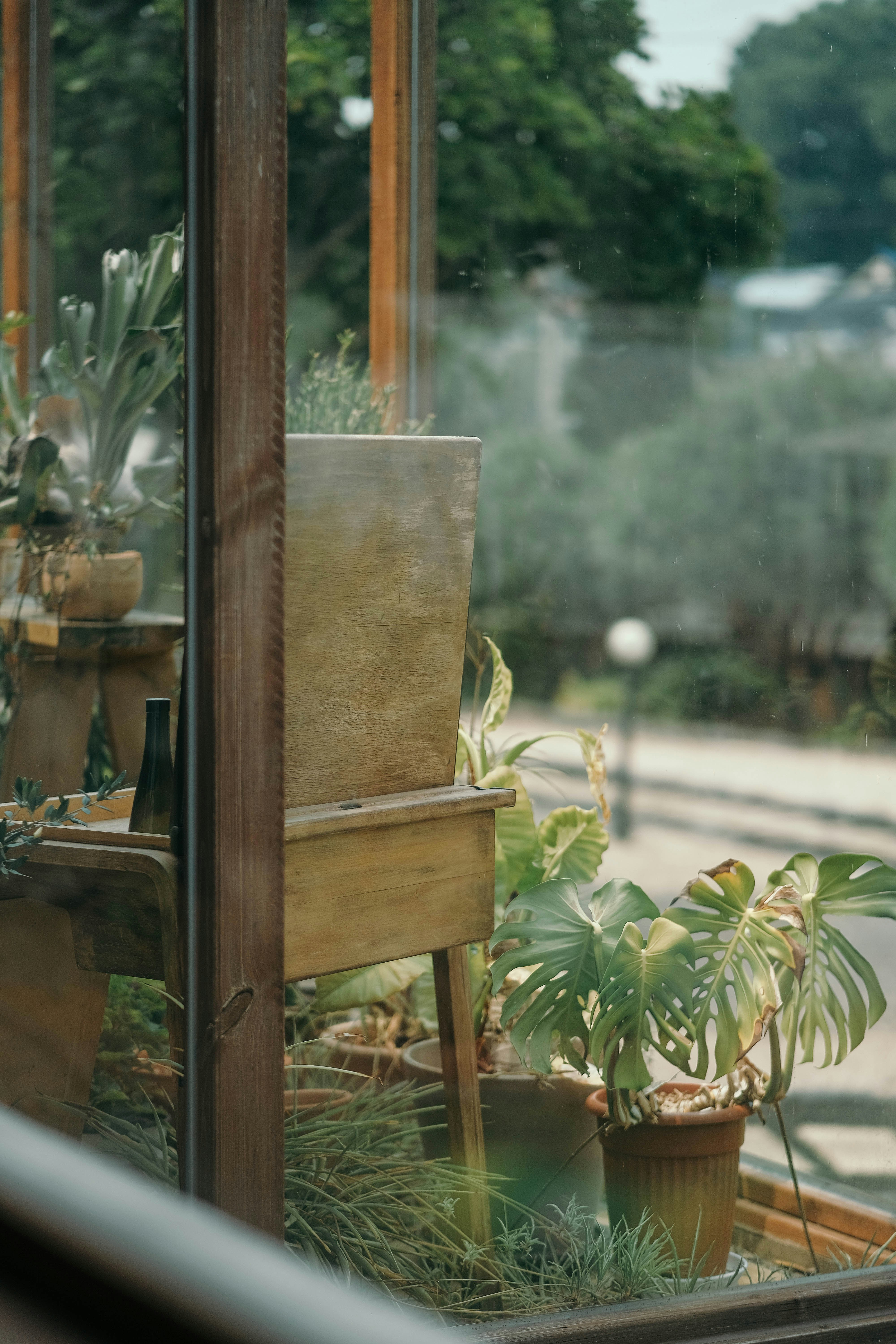 Photo by insungpandora