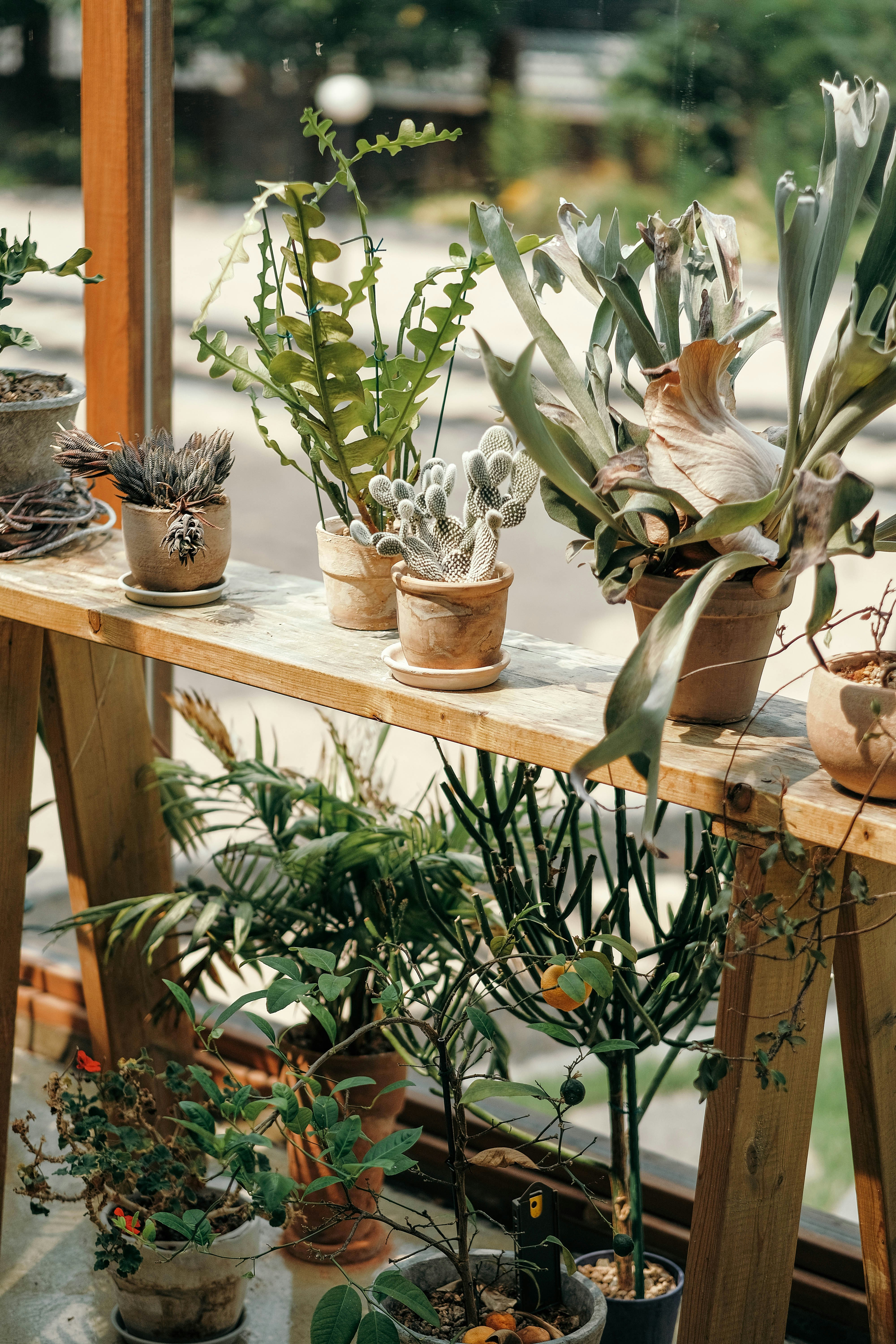 Photo by insungpandora