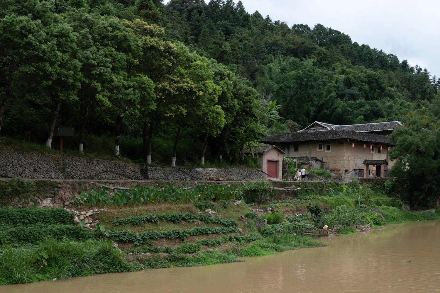 A quiet Fujian village beside green mountain scenery