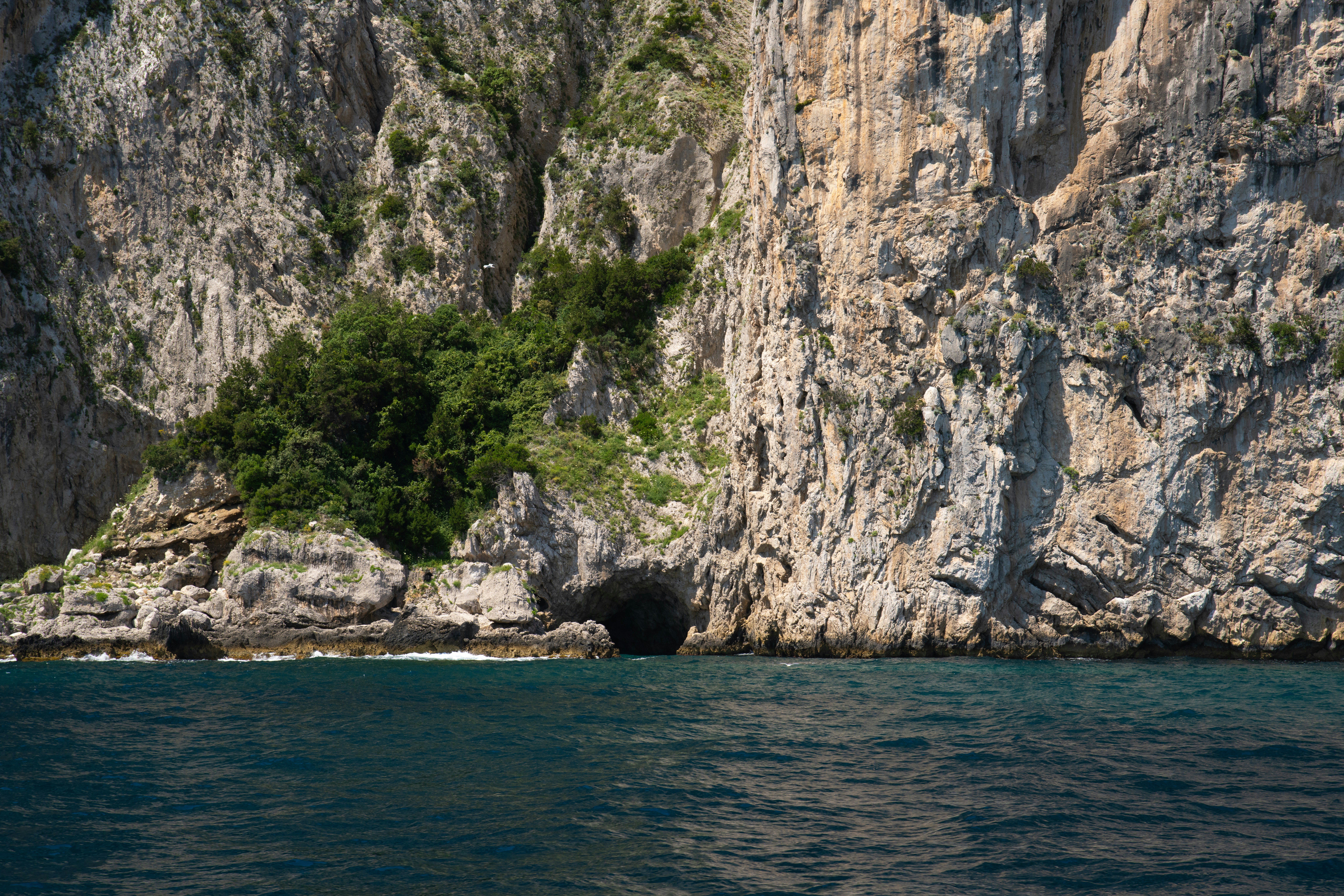 Photo by nickmartinelli98