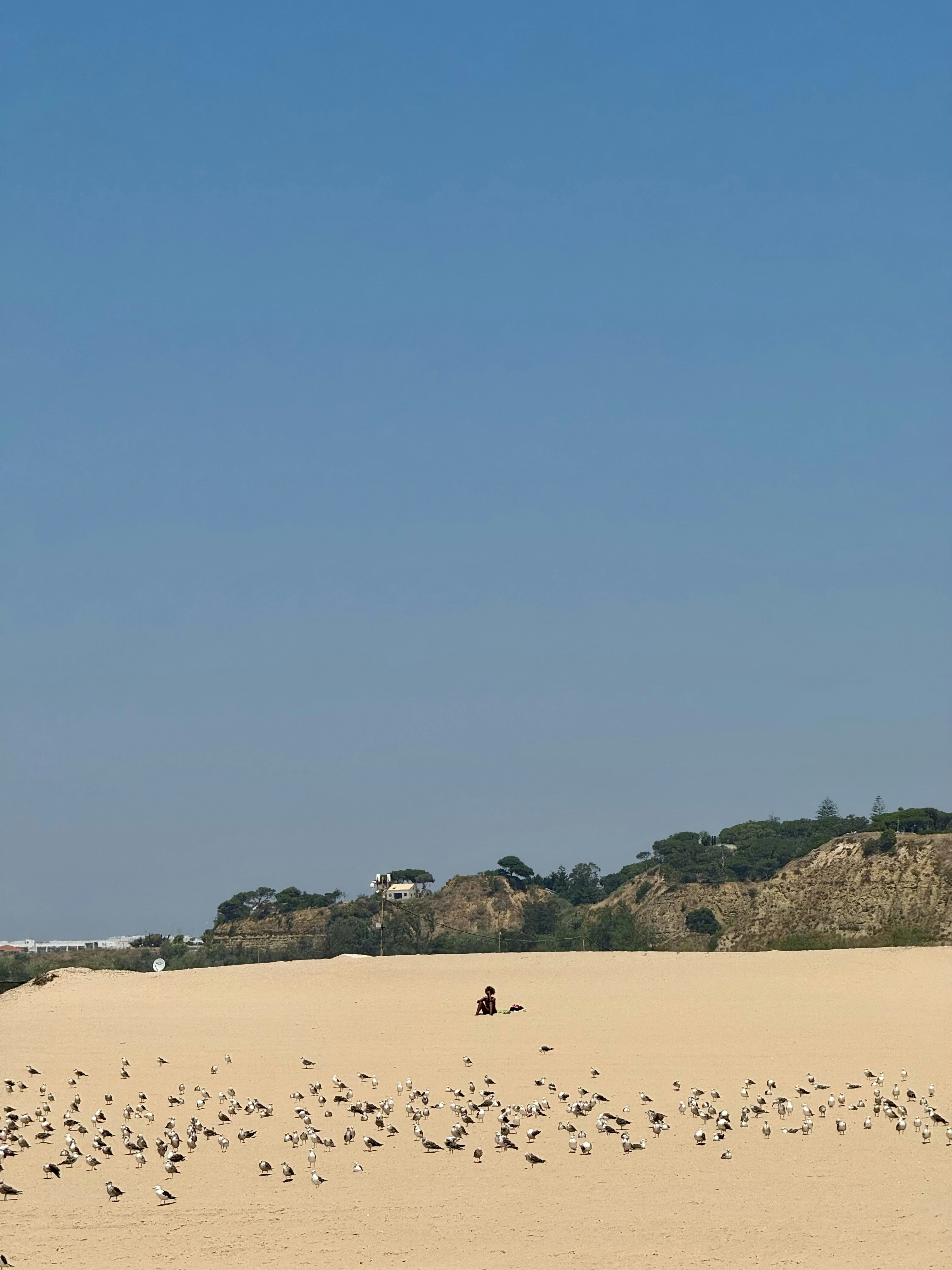 Sunny beach scene with dunes and a clear blue sky.