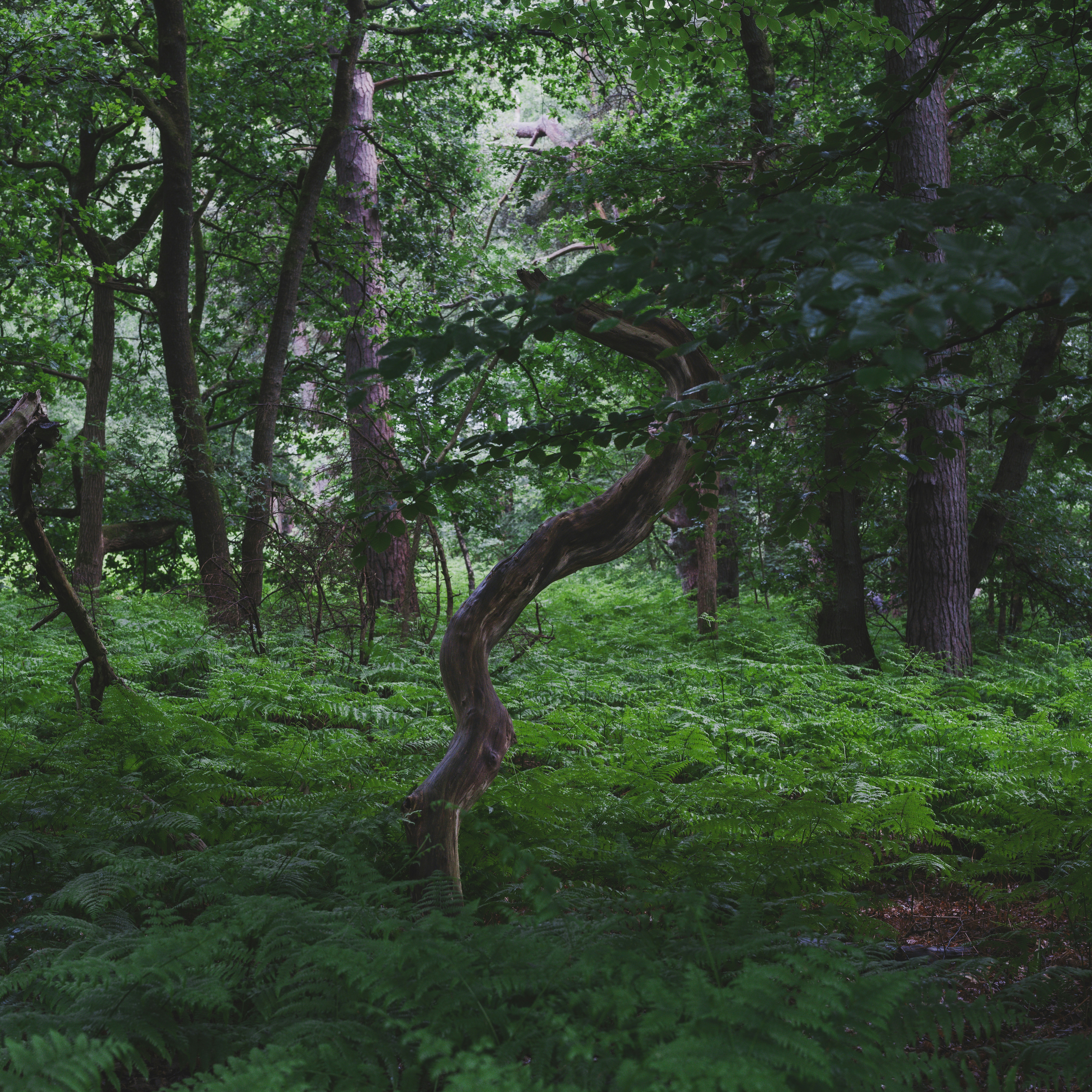 Photo by haberdoedas