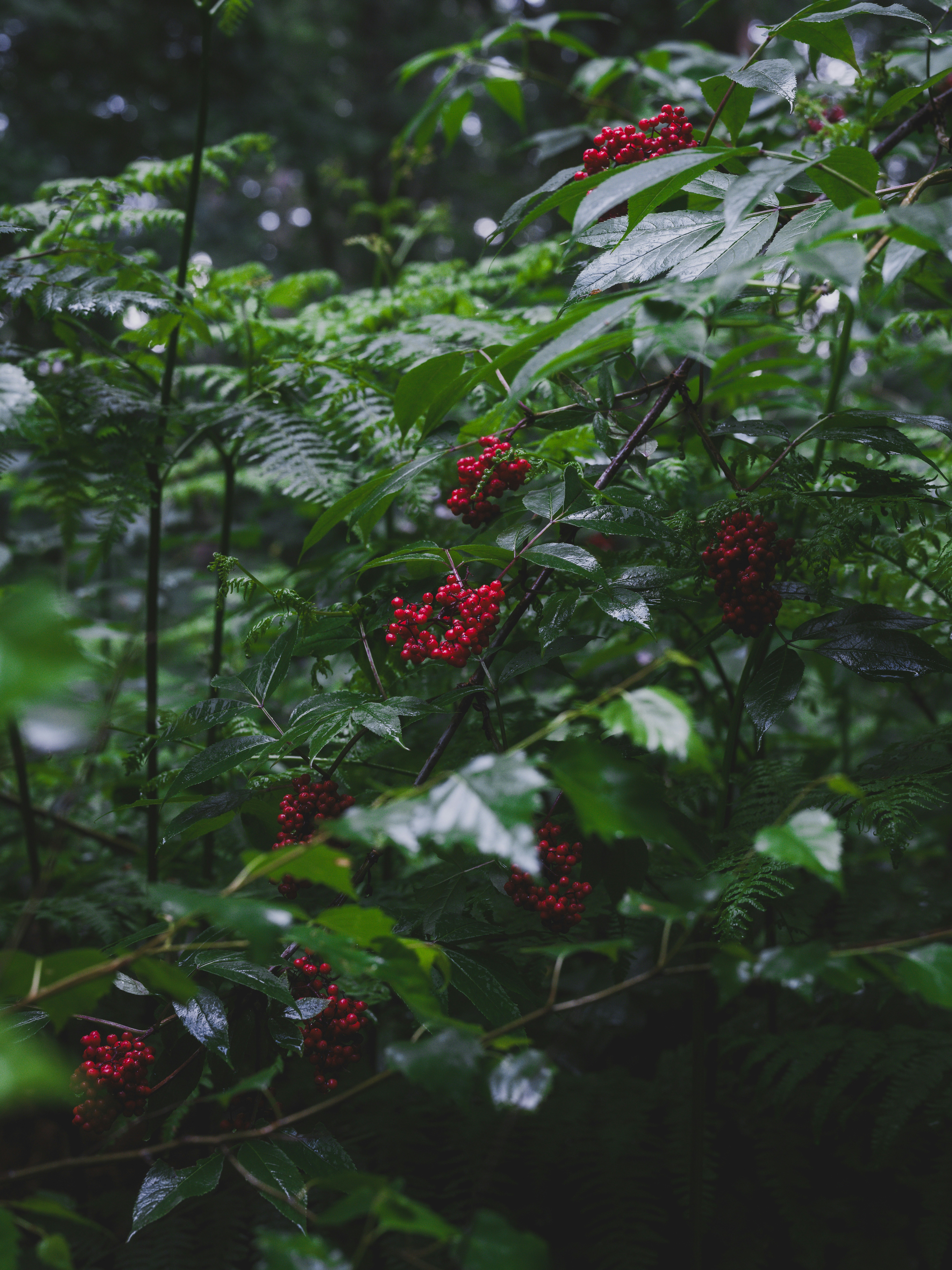 Photo by haberdoedas