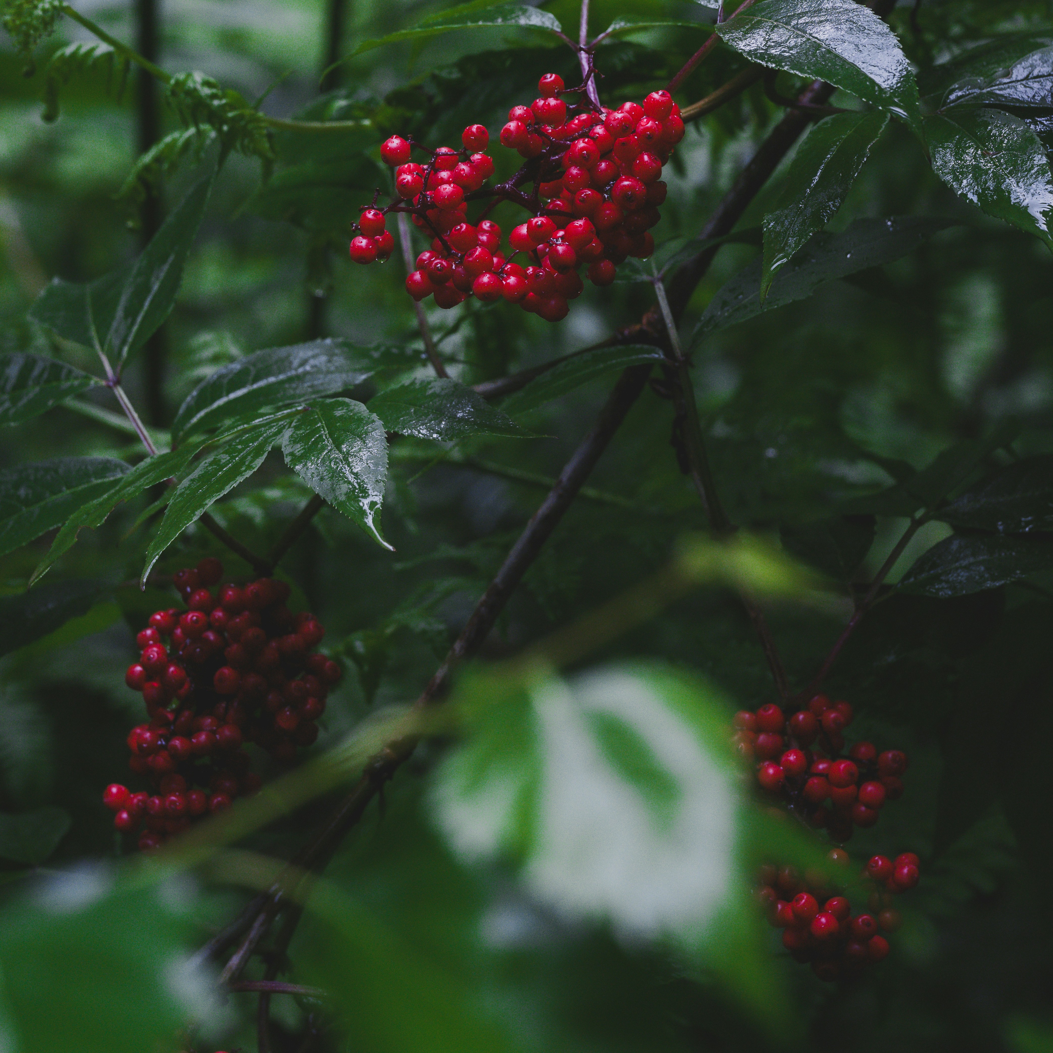 Photo by haberdoedas