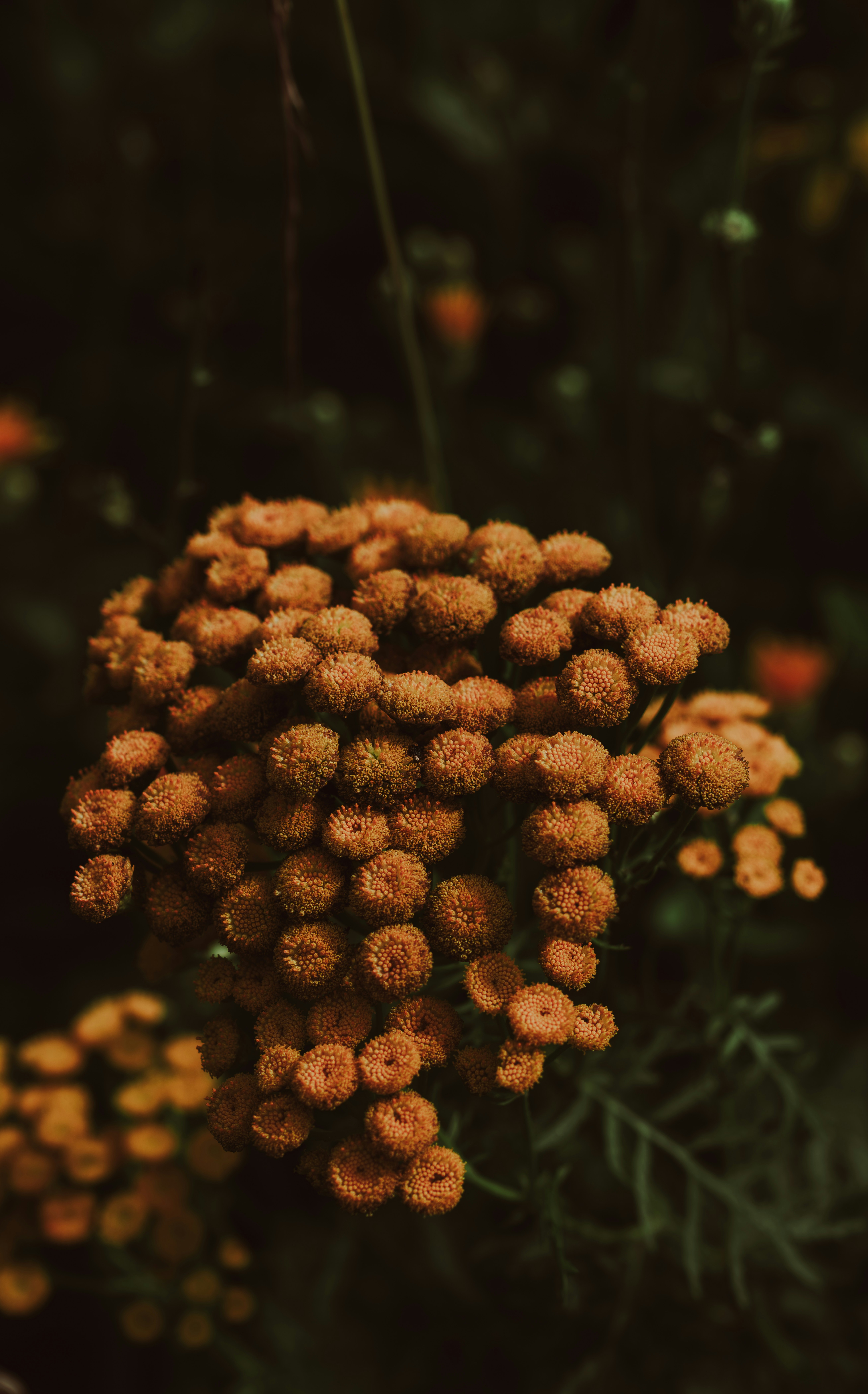 Photo by hellaren