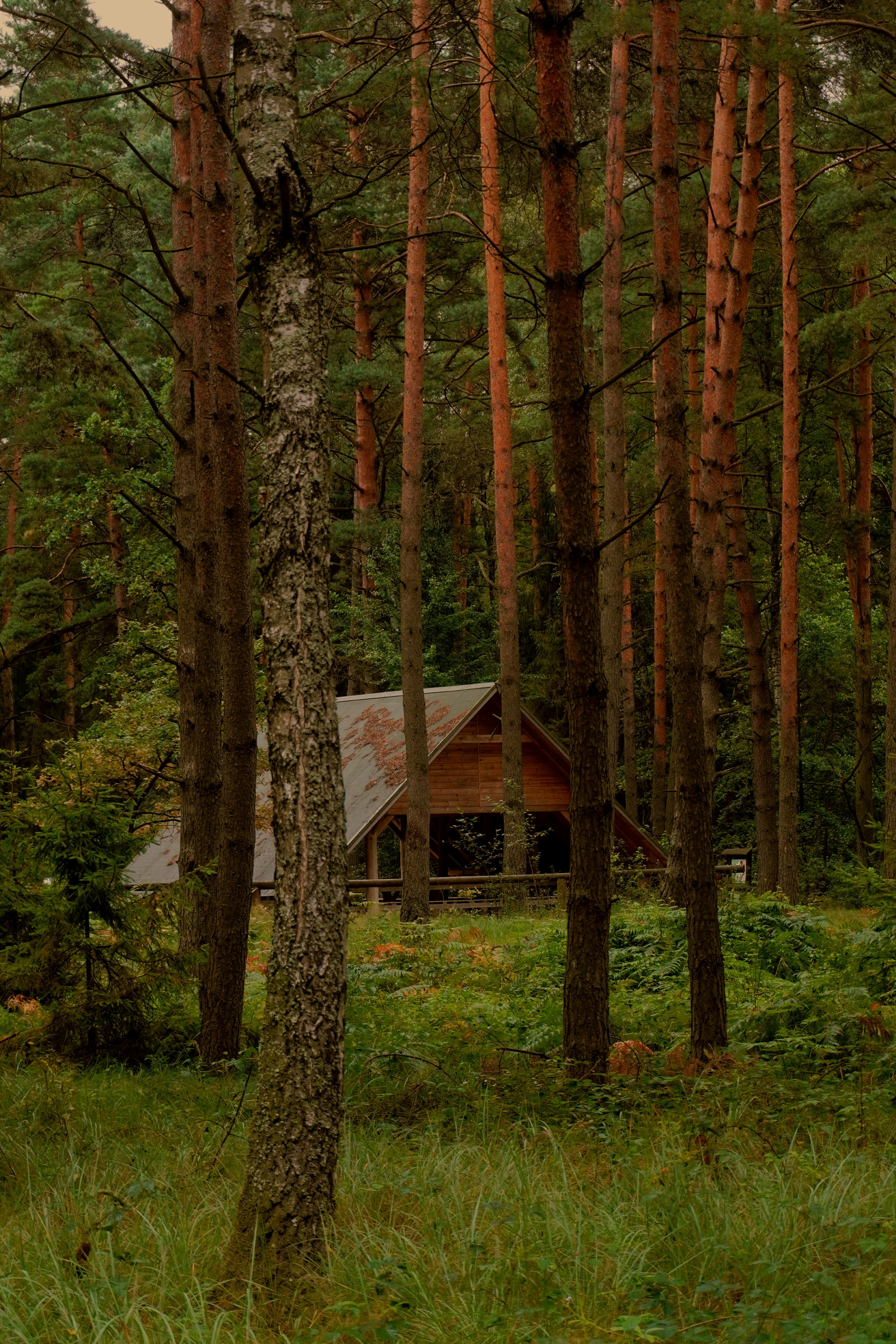 Photo by photographydamiankokot