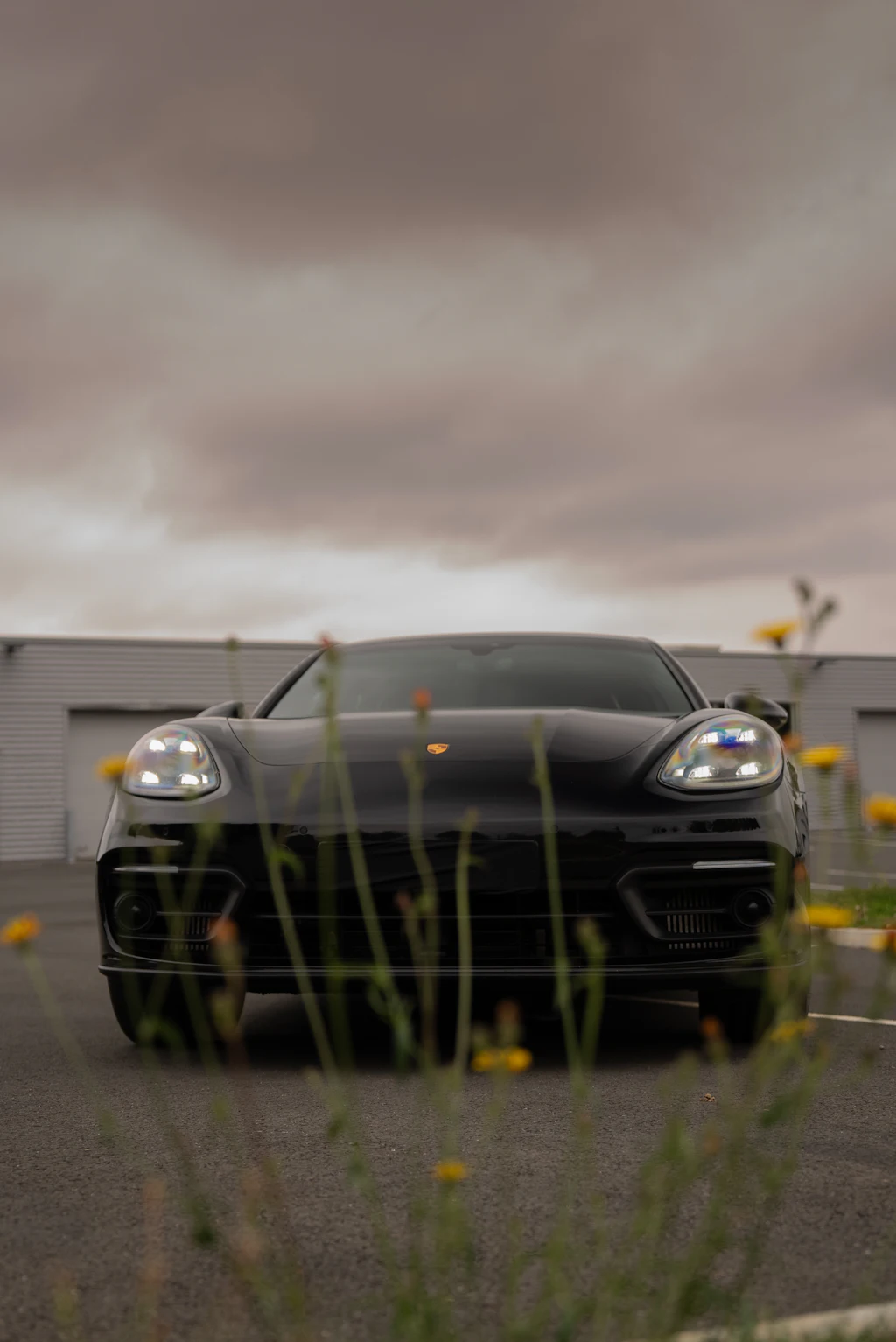 Panamera, вид спереди