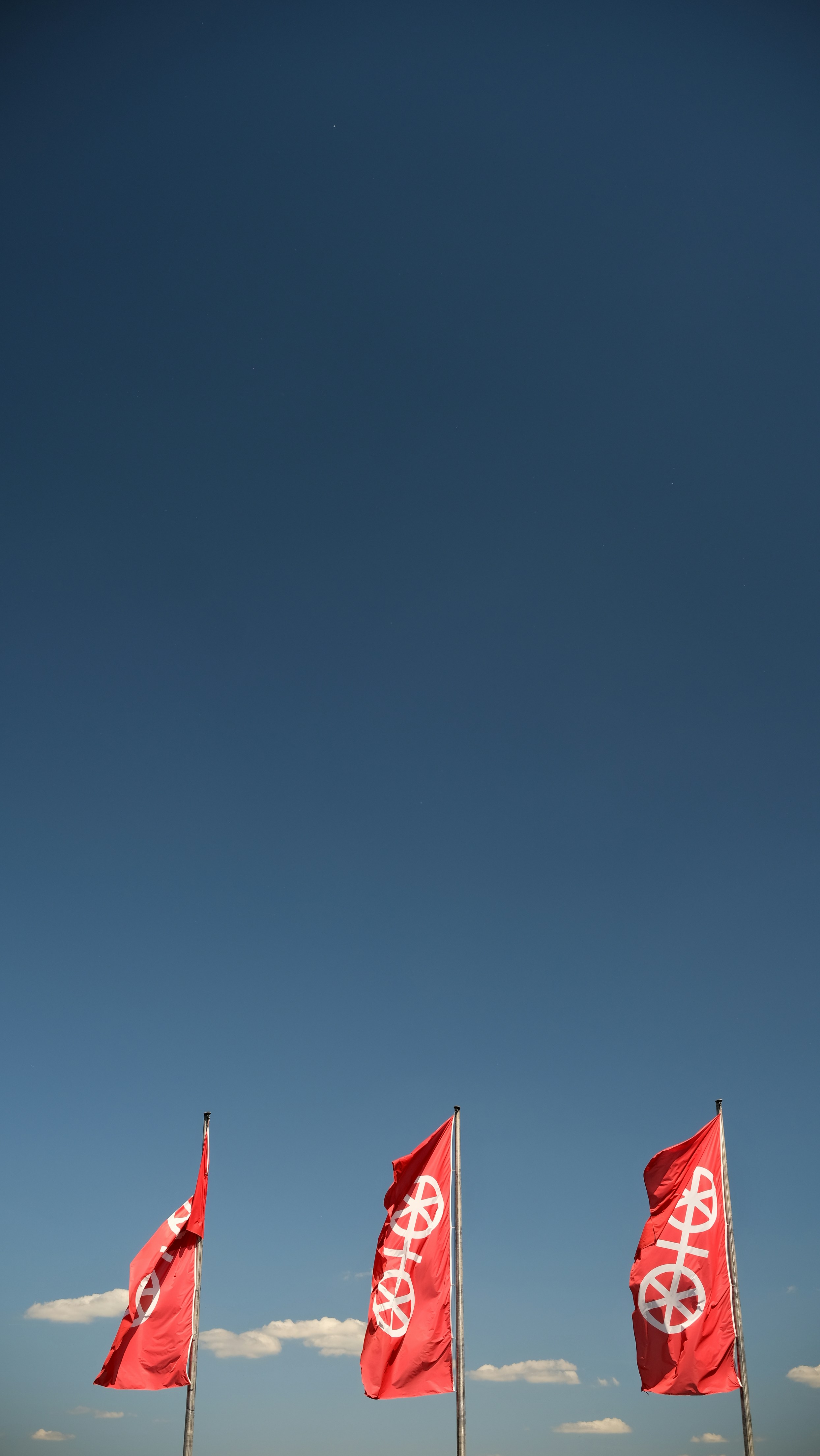 Three red flags with a unique symbol.