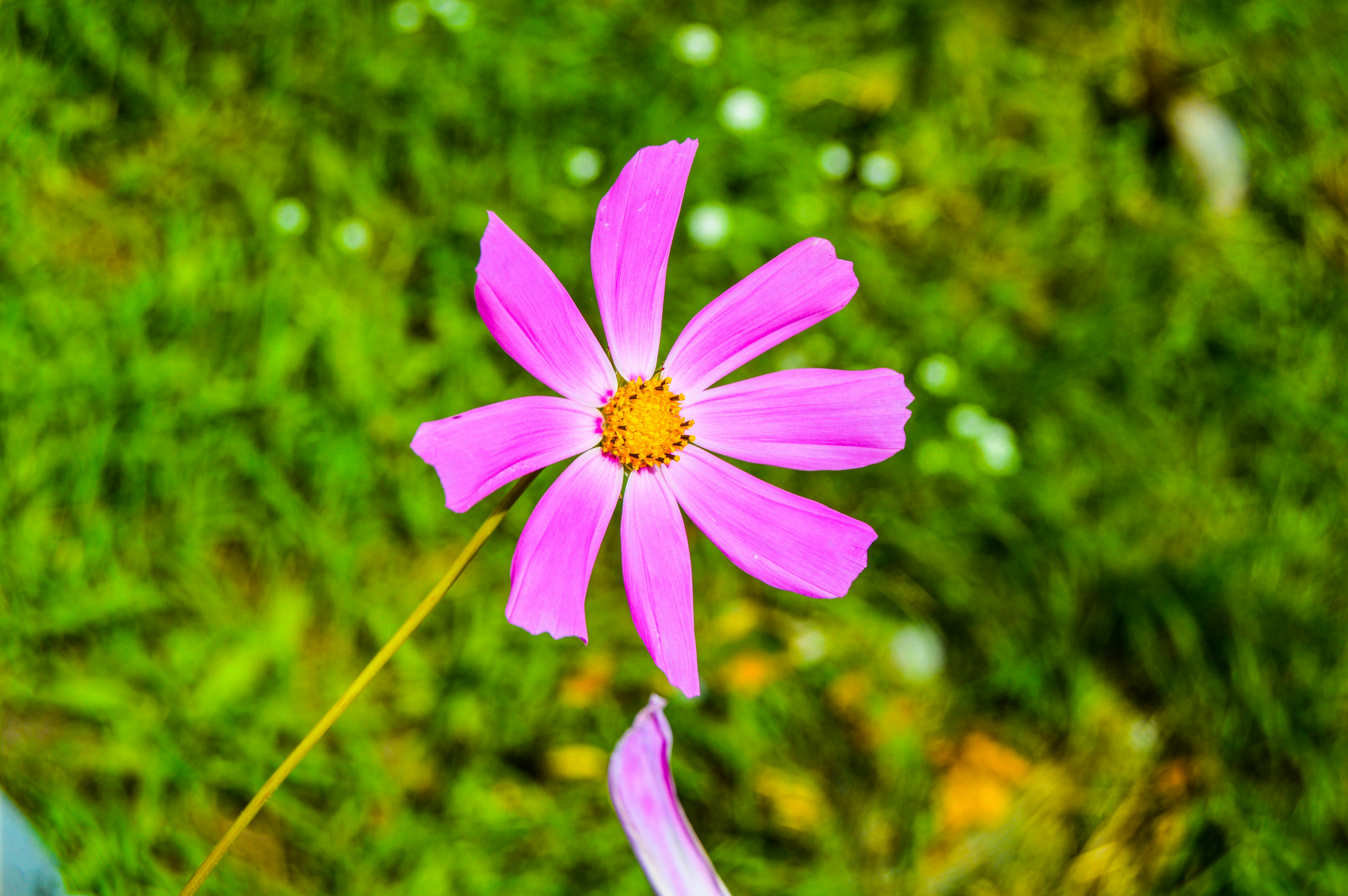 Same ‌Day ⁢Delivery Essentials Verify Freshness Secure ​Packaging and⁤ Legal‍ Compliance