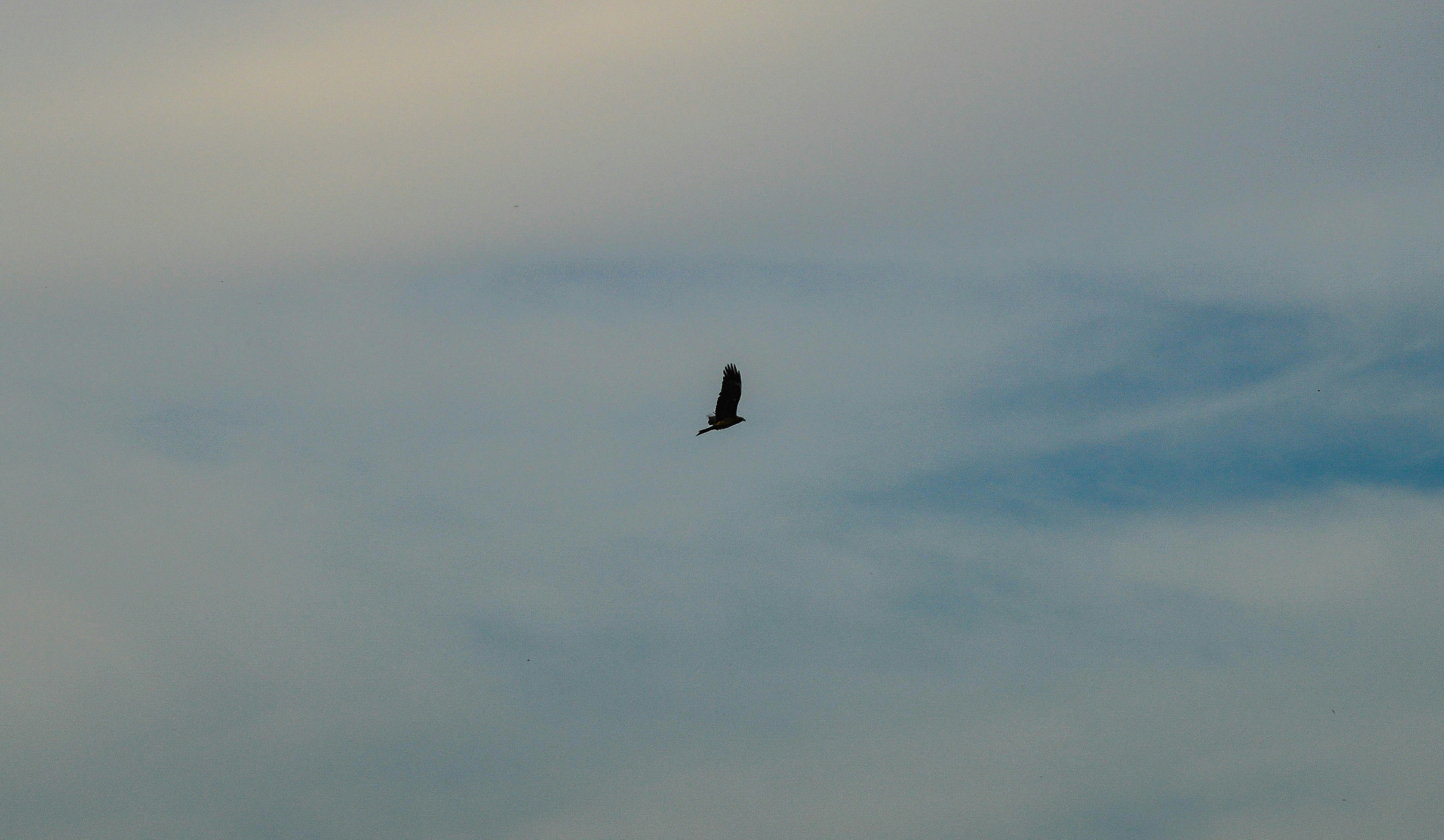 Photo by a4ry55