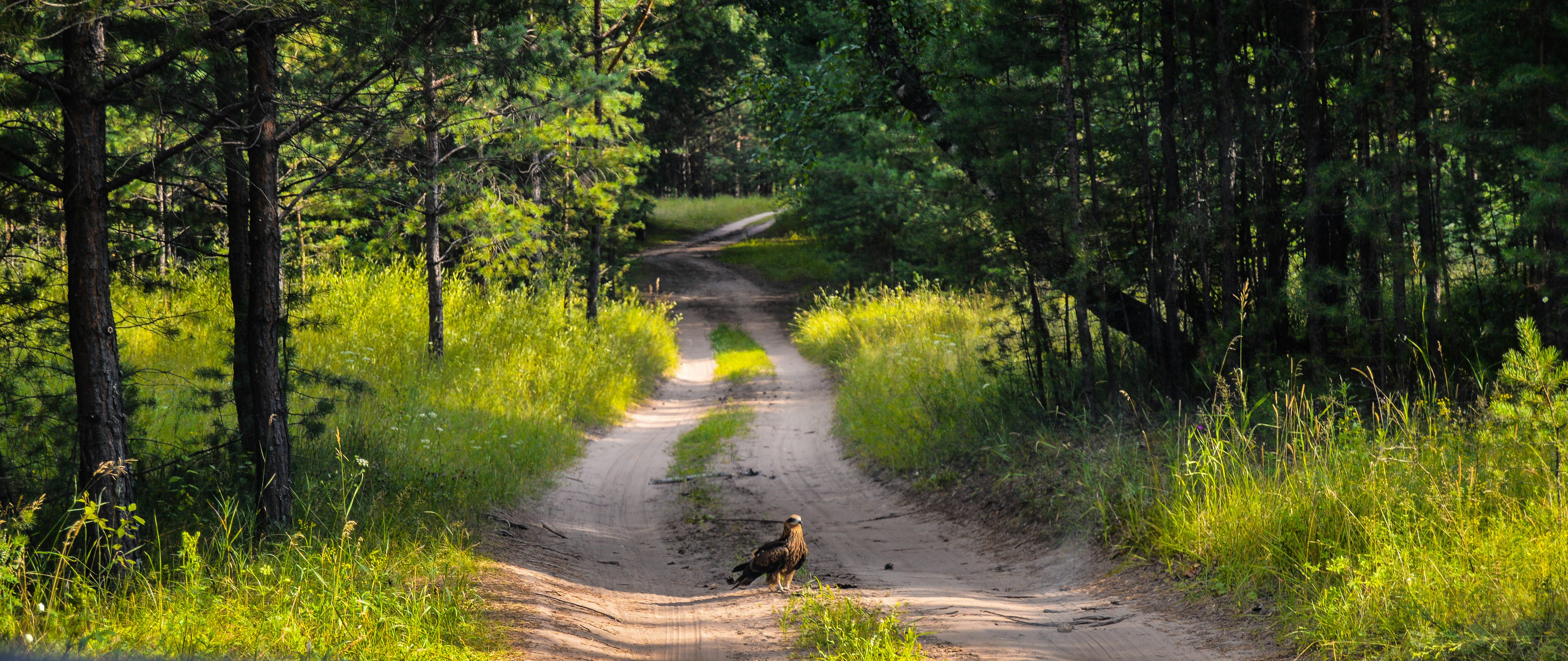 Game Farm Wilderness Park