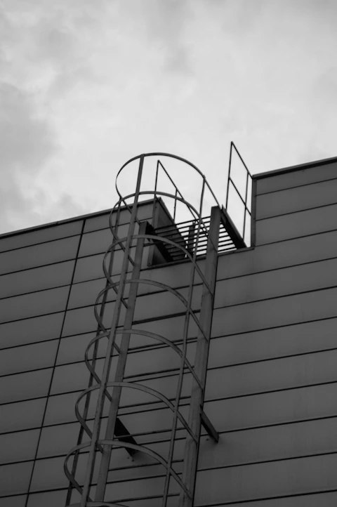 A ladder leads up the side of a building.