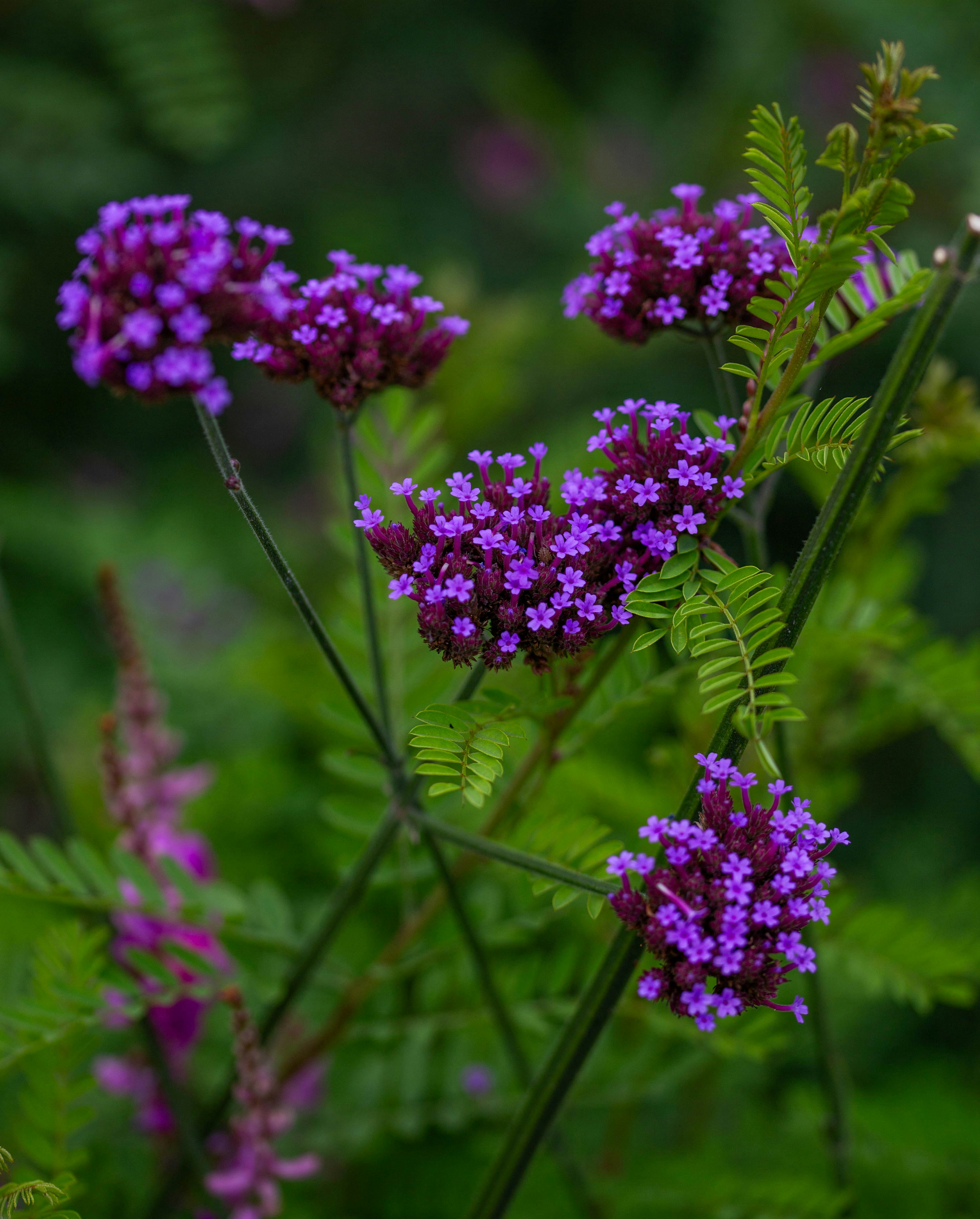 Photo by hdbernd