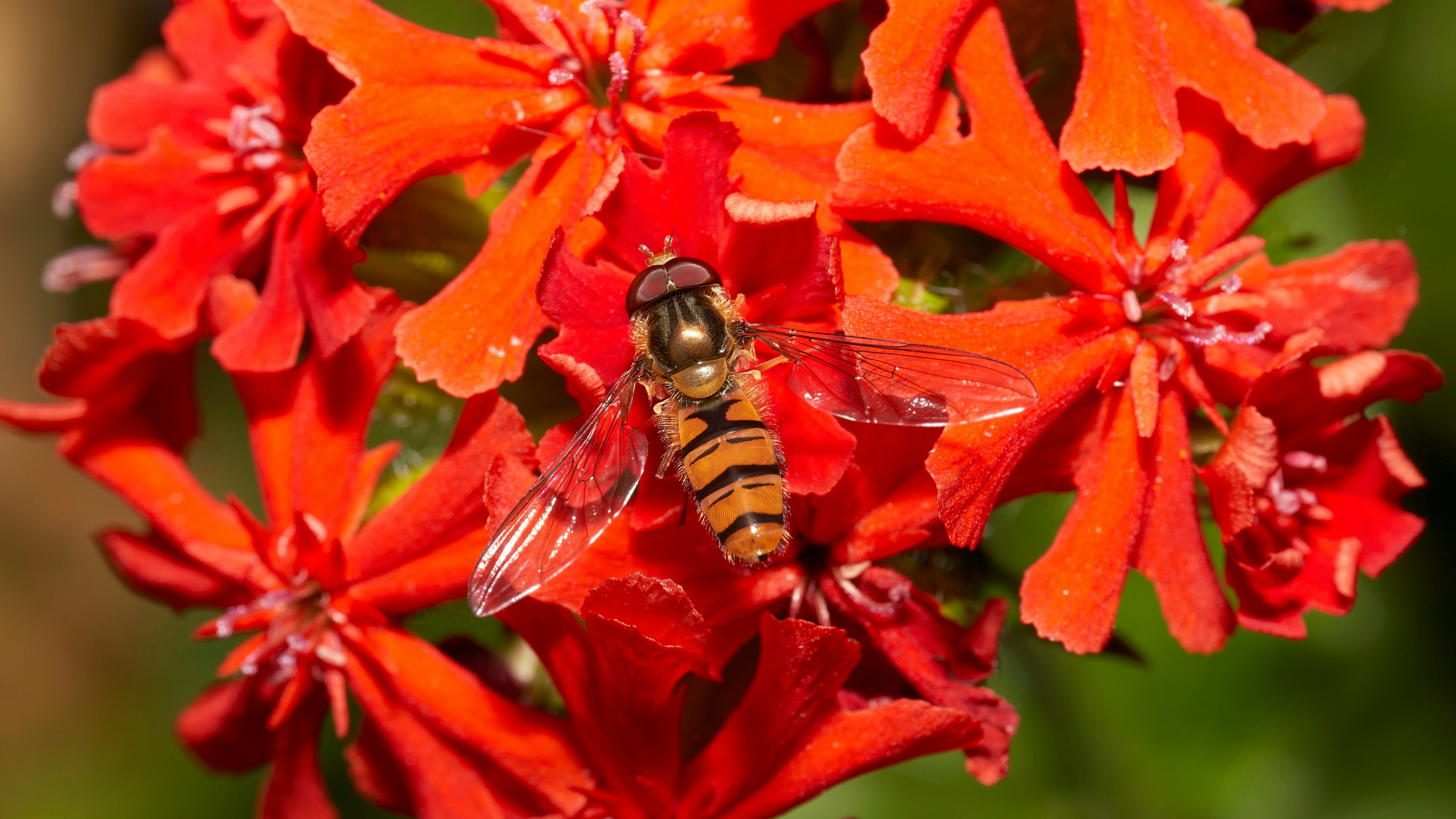 Photo by davotibarna