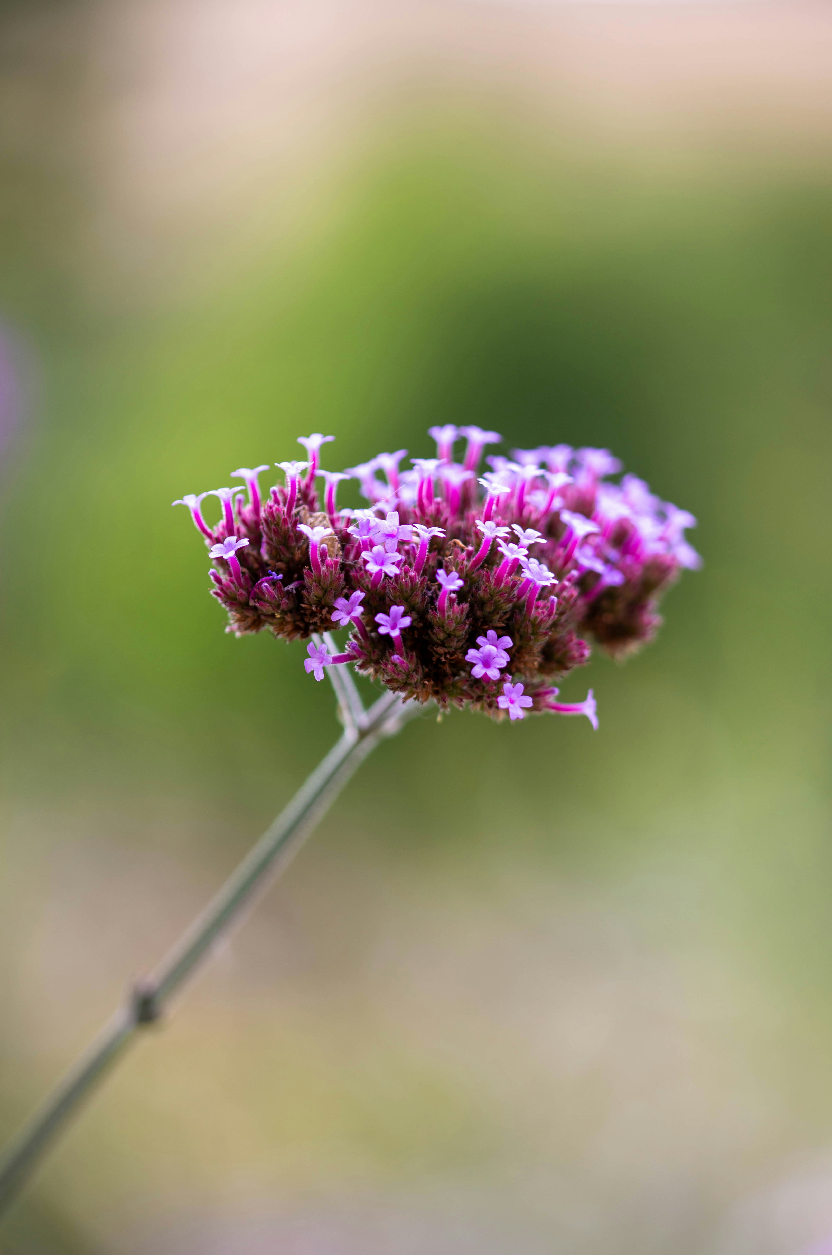 Photo by hdbernd