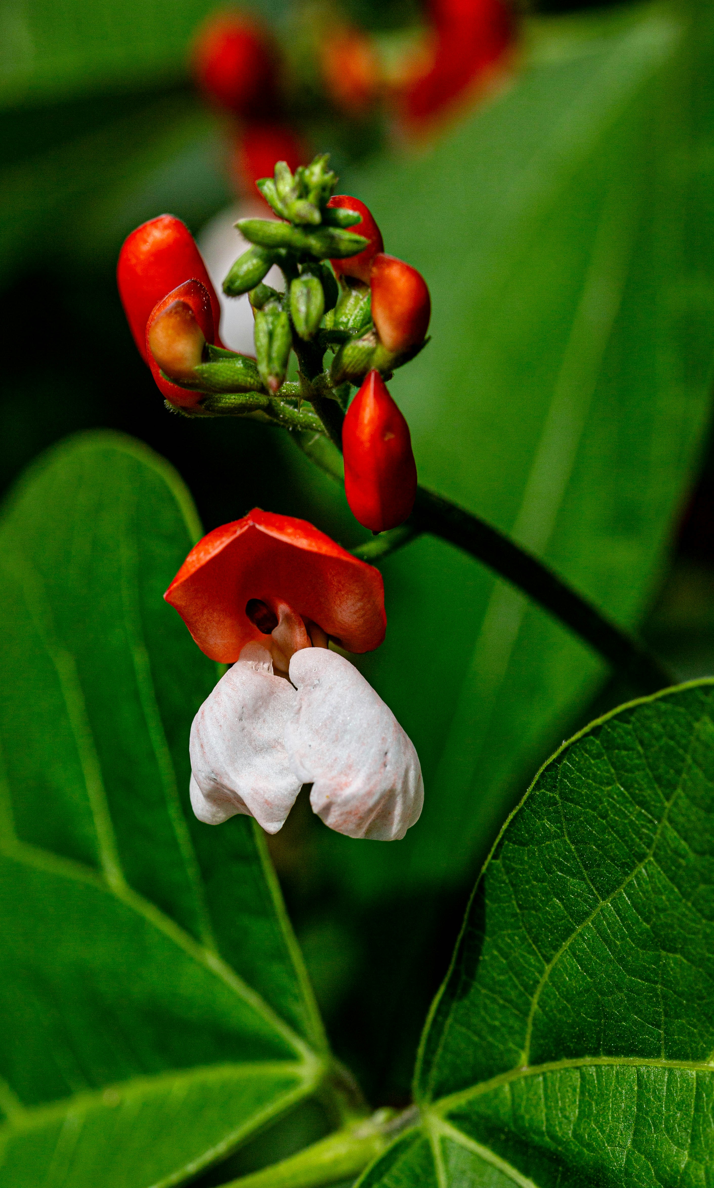 Photo by hdbernd