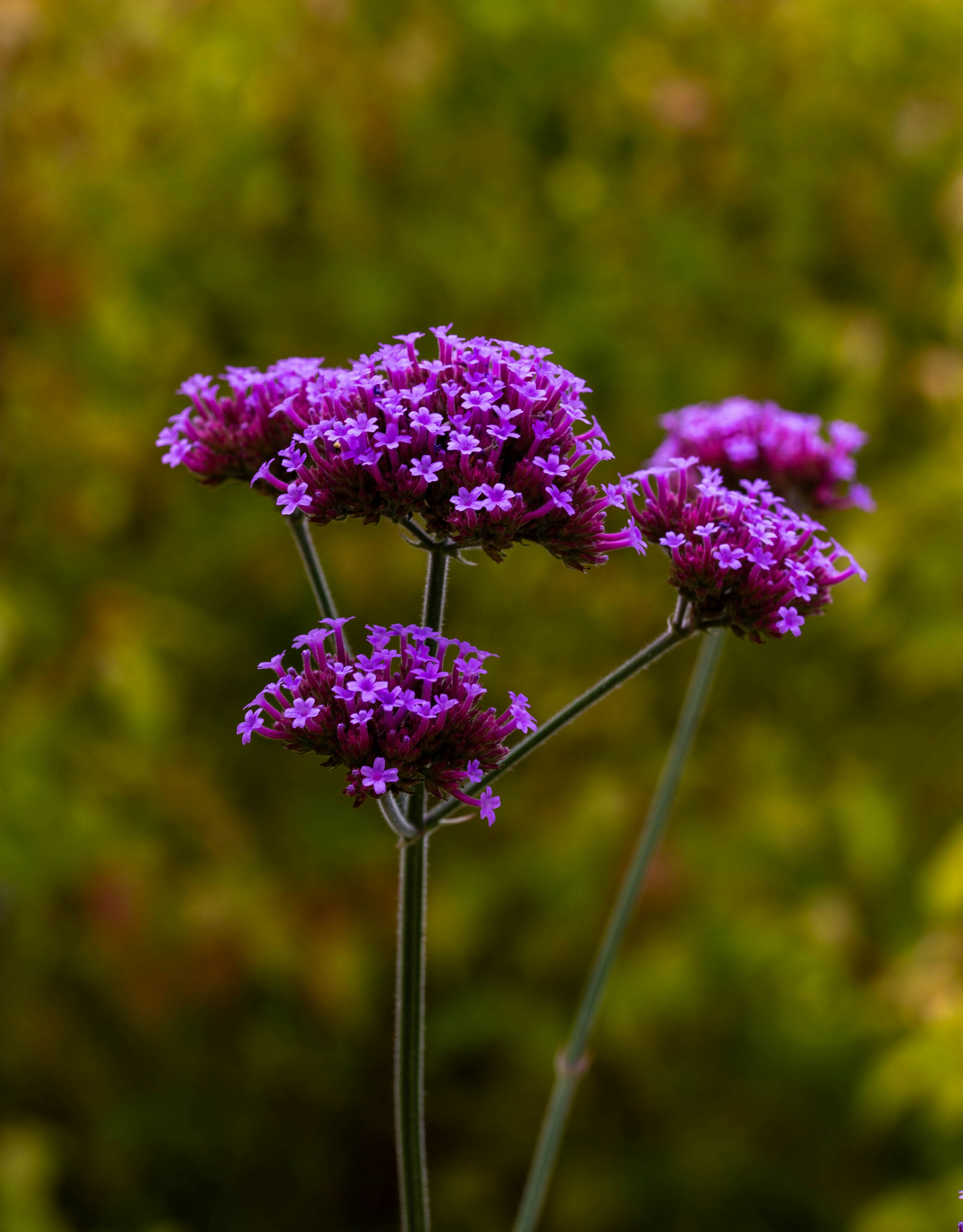 Photo by hdbernd