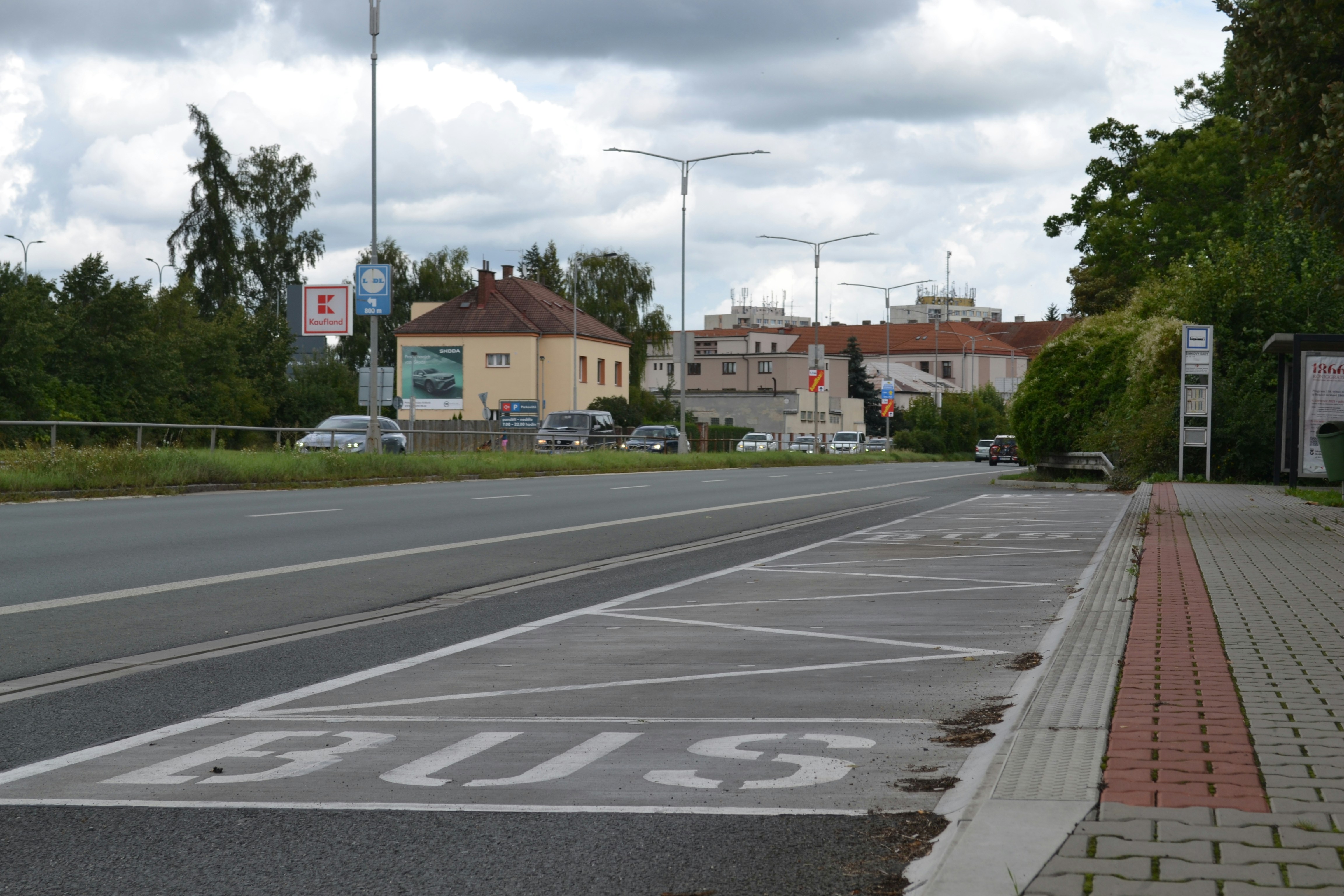 Photo by viktor_rejent