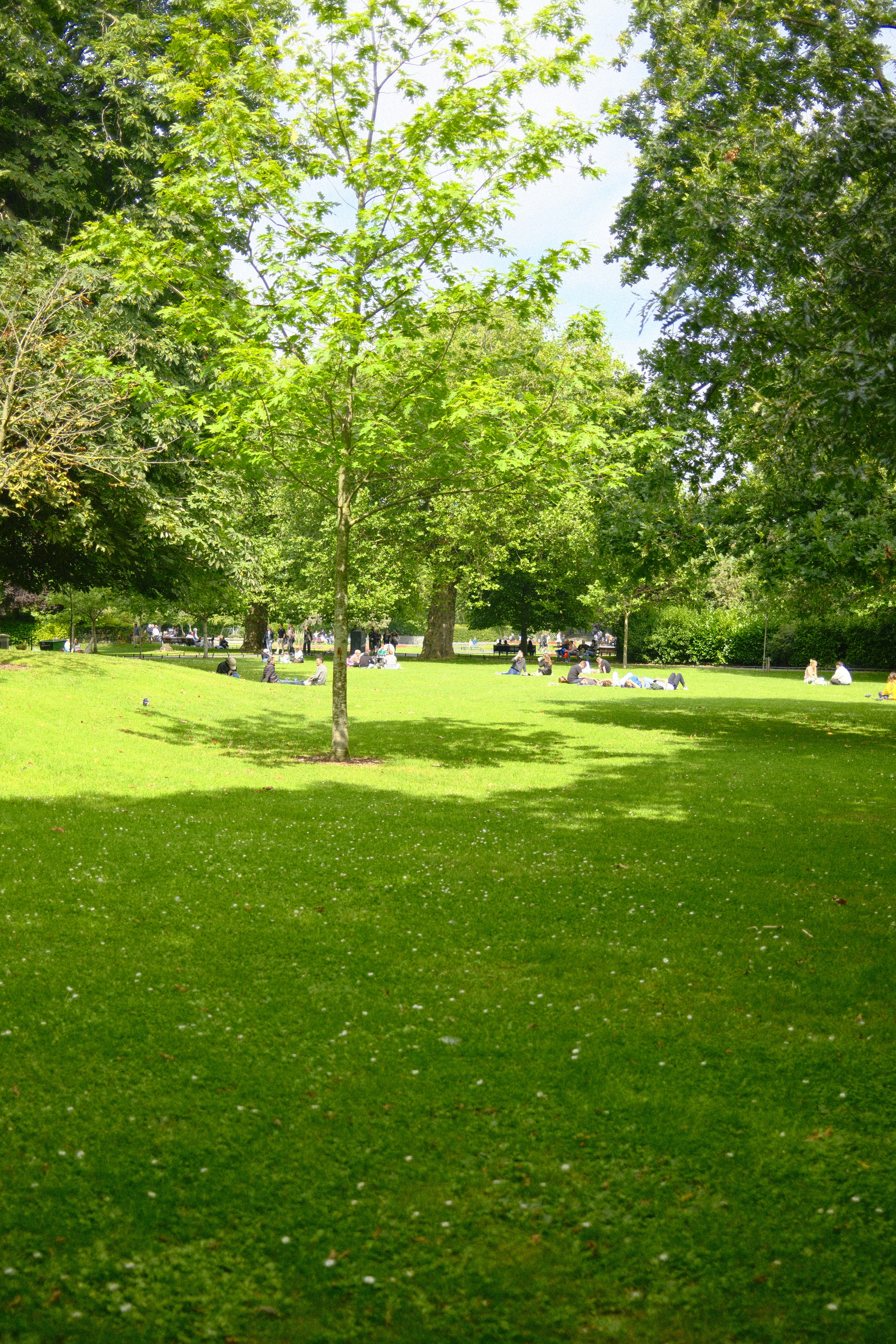 Photo by joshuamachtfotos