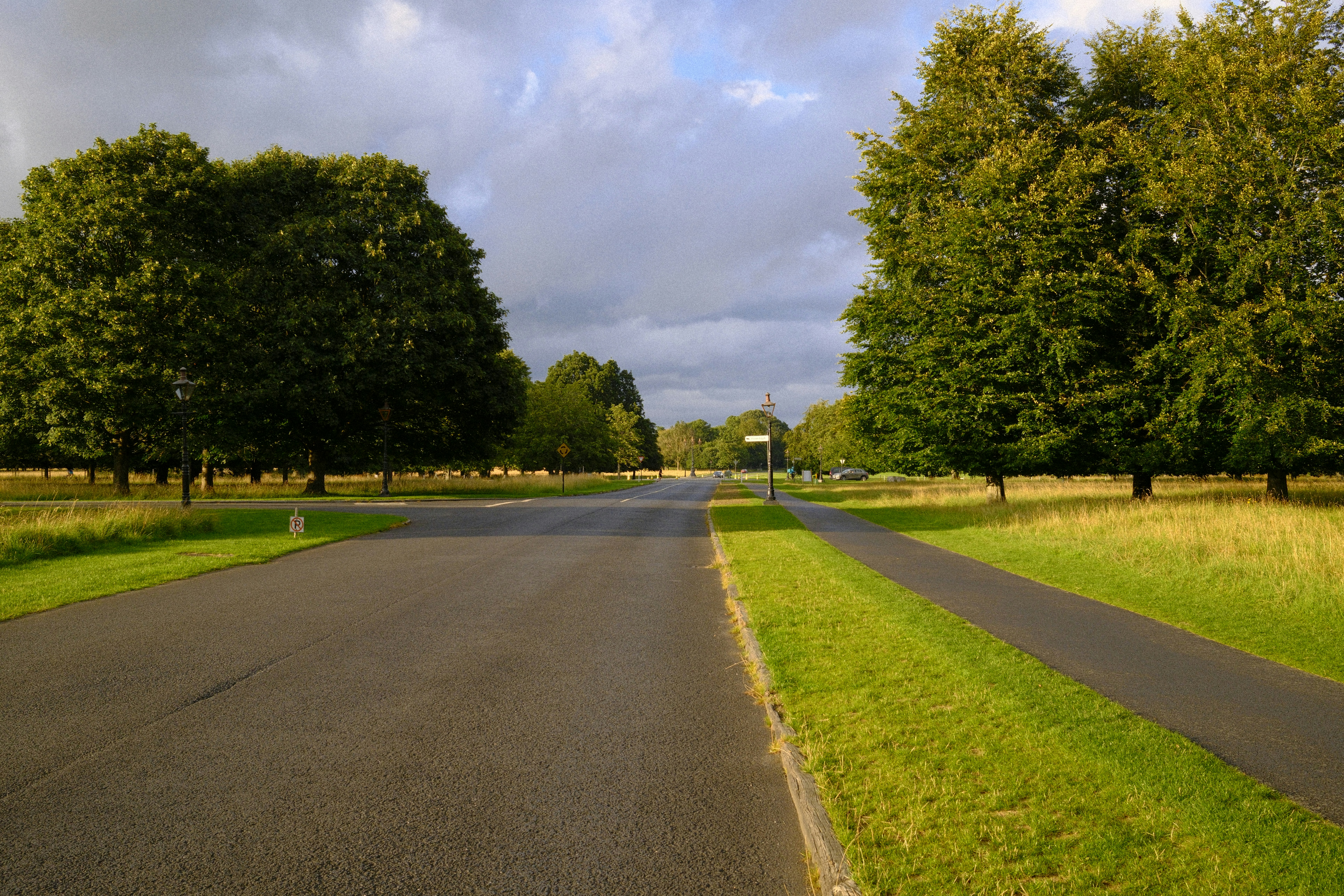 Road lined with trees under a cloudy sky.