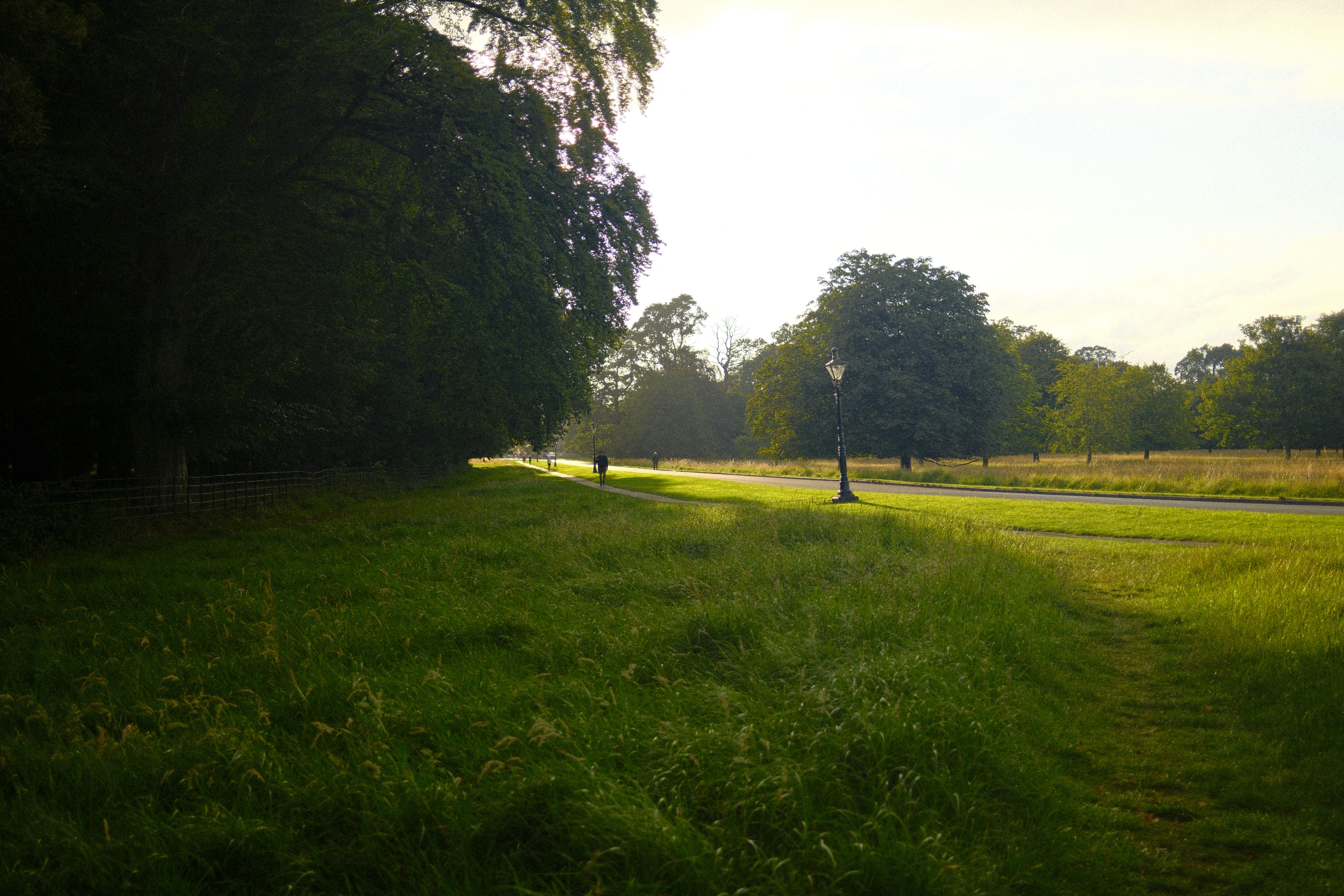 Ring Commons Pitch and Putt