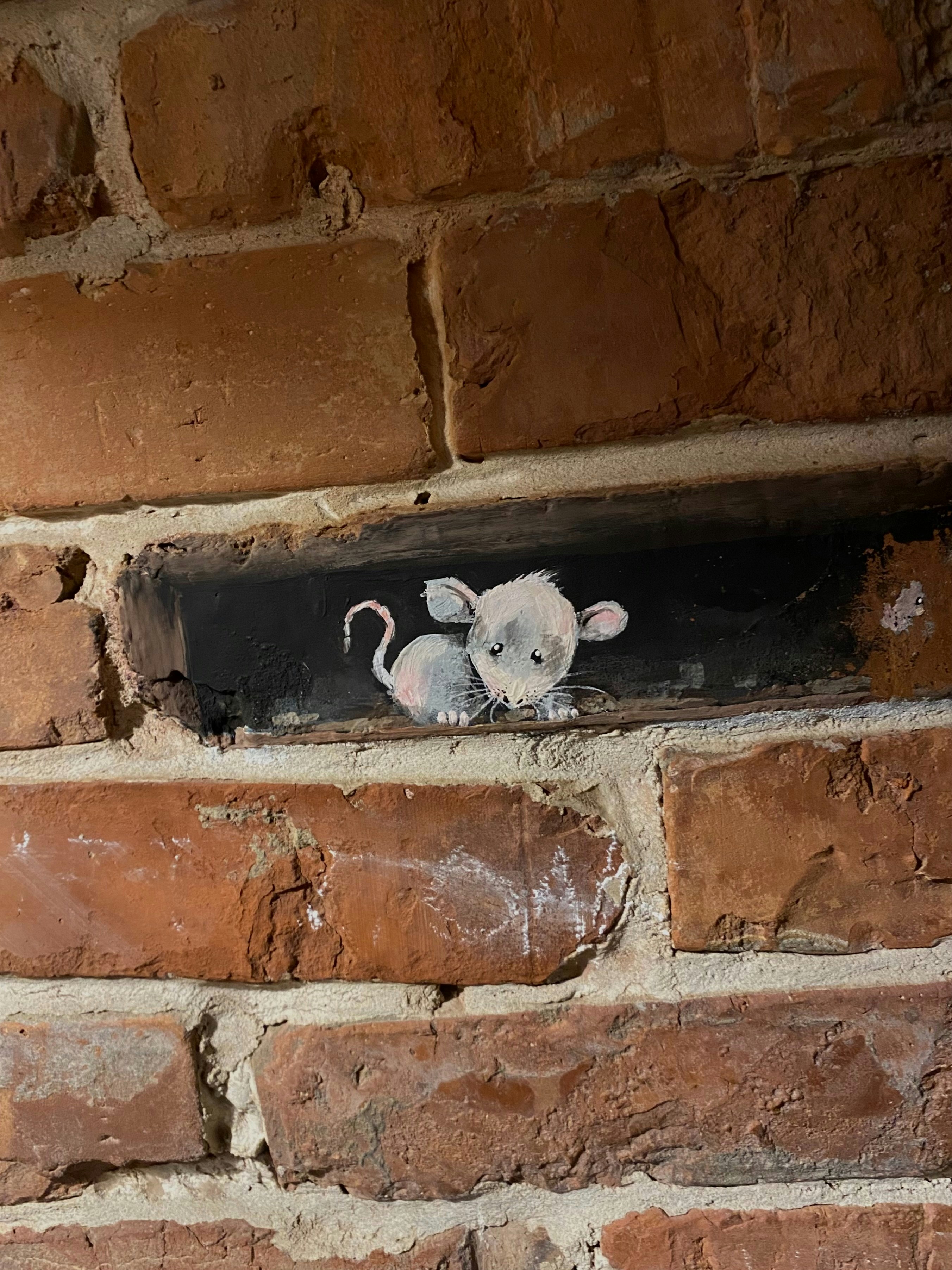Eine winzige Maus lugt aus einer Ziegelwand hervor.