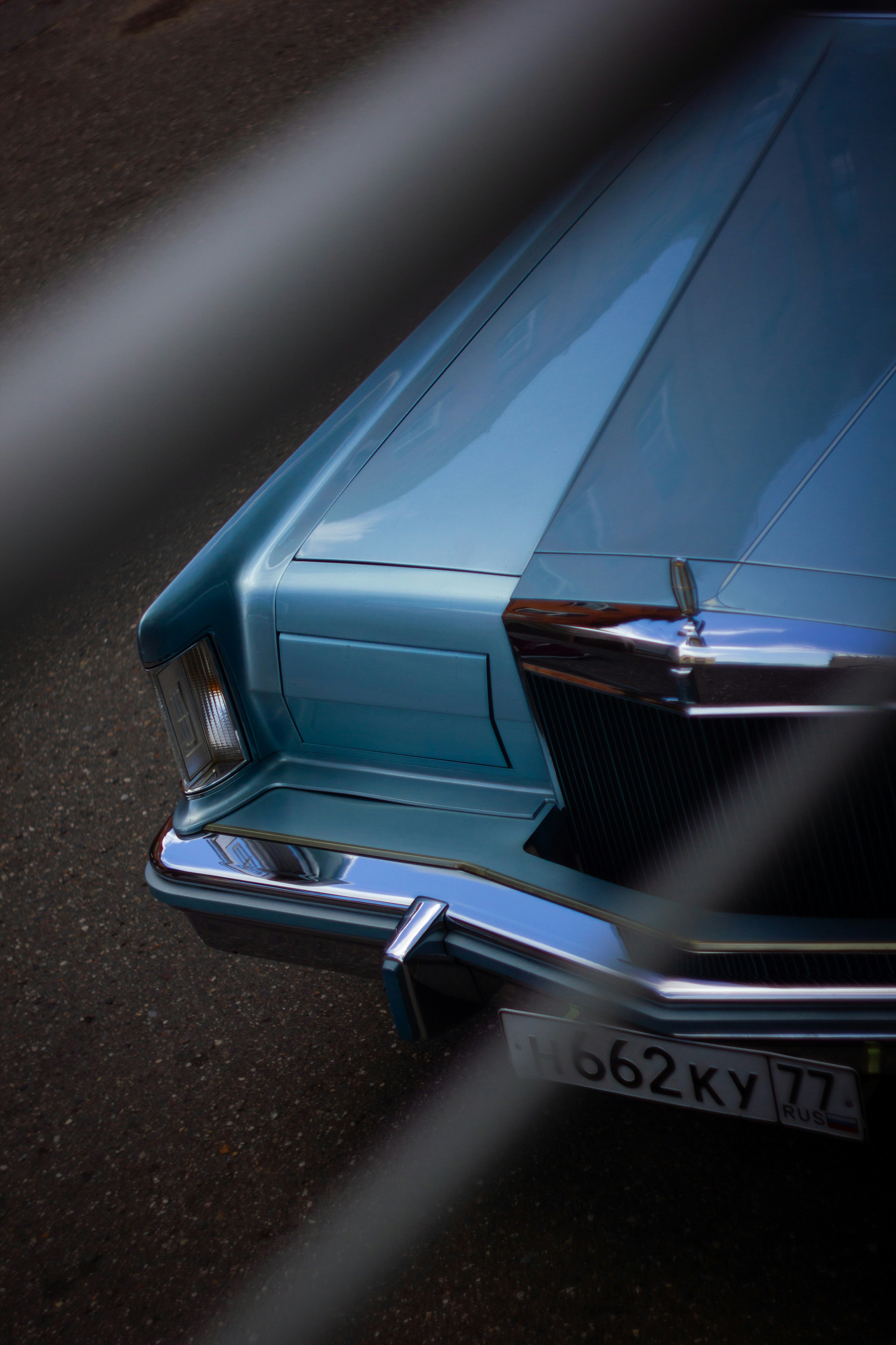 Photo by felis_catus