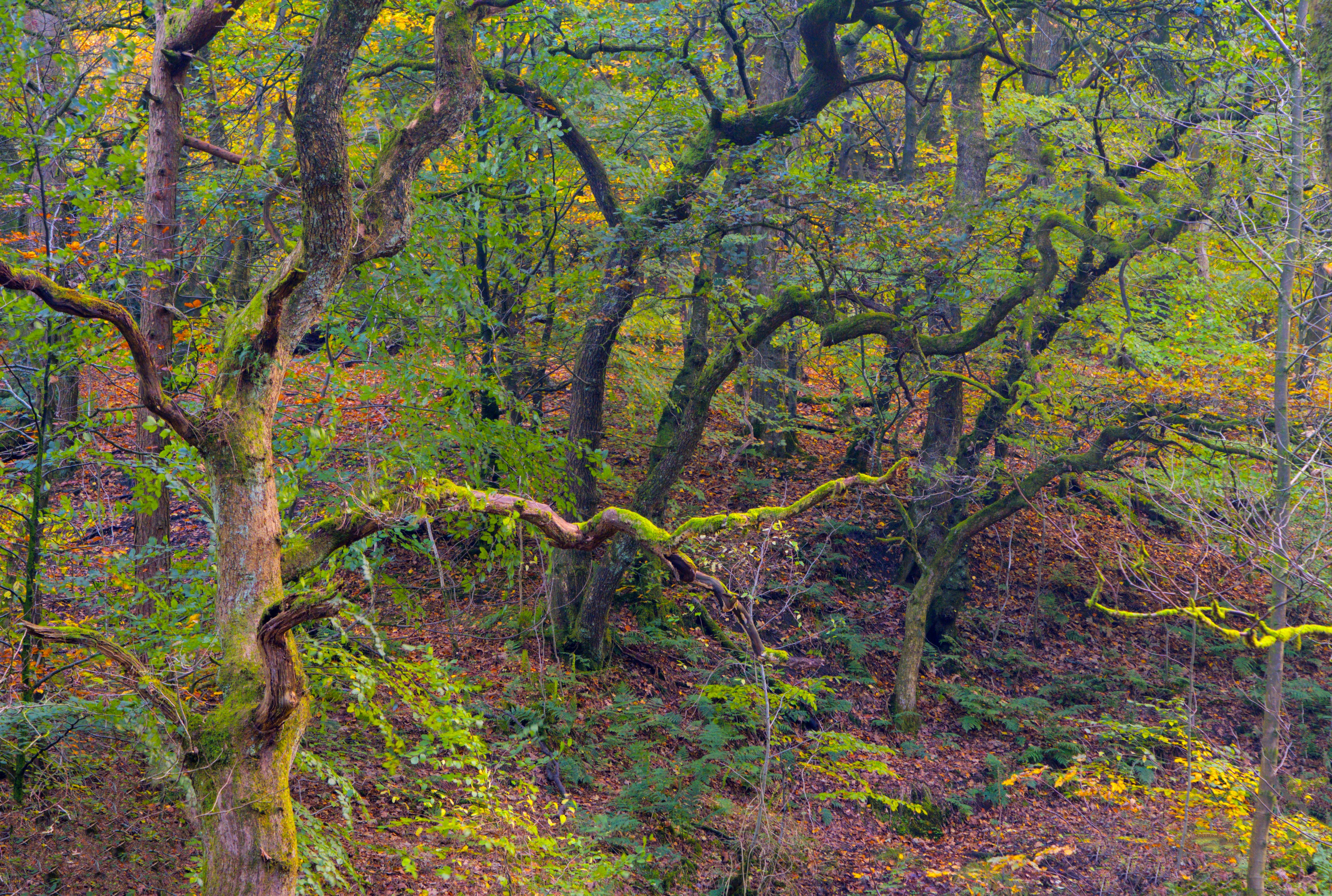 Photo by bryan151055