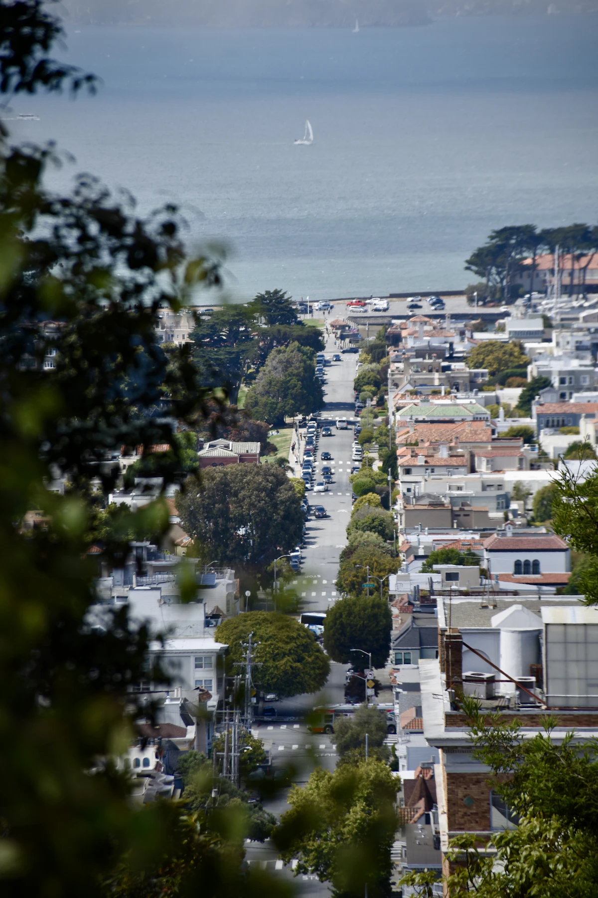 Pacific Heights