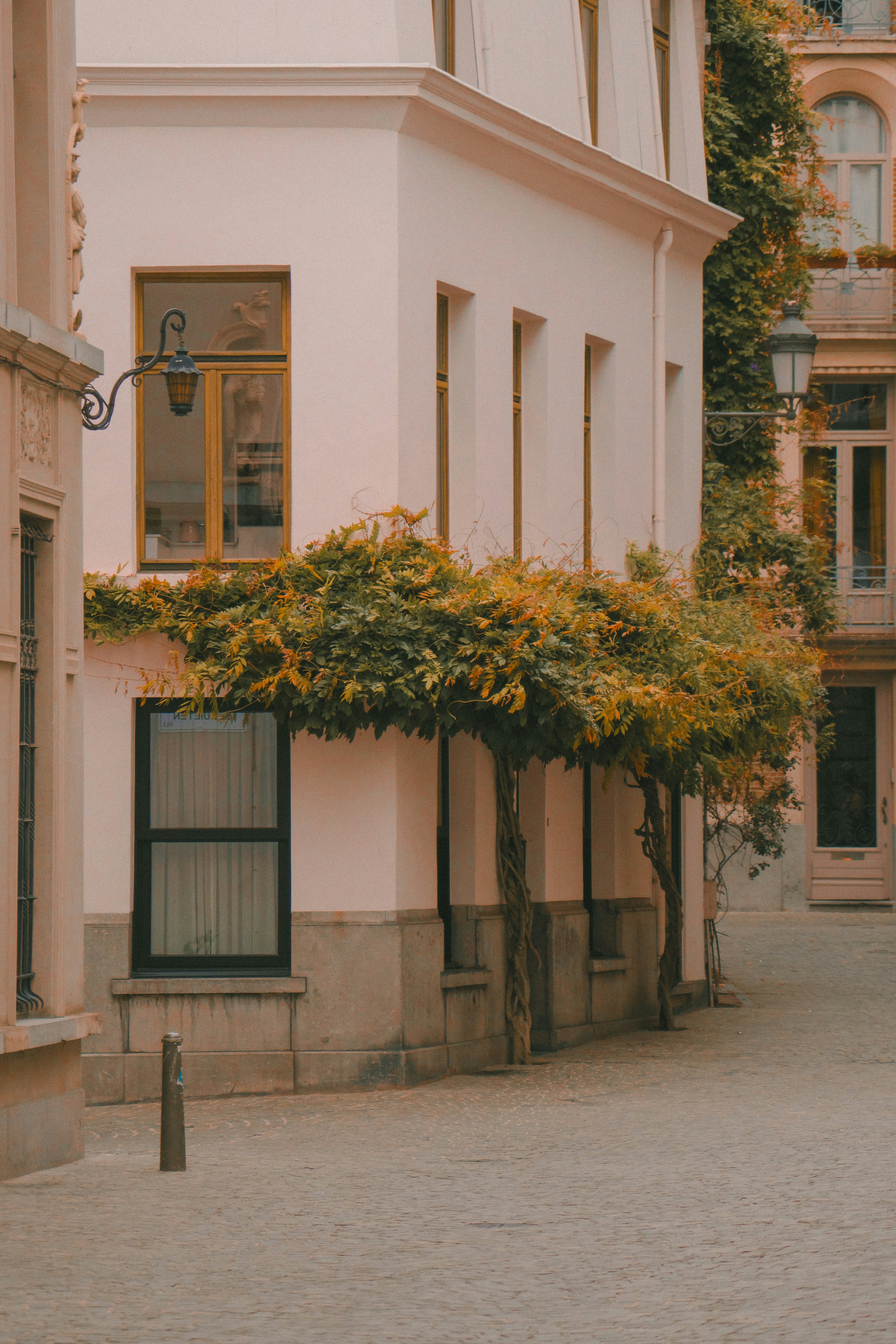 Photo by pixel_guy97