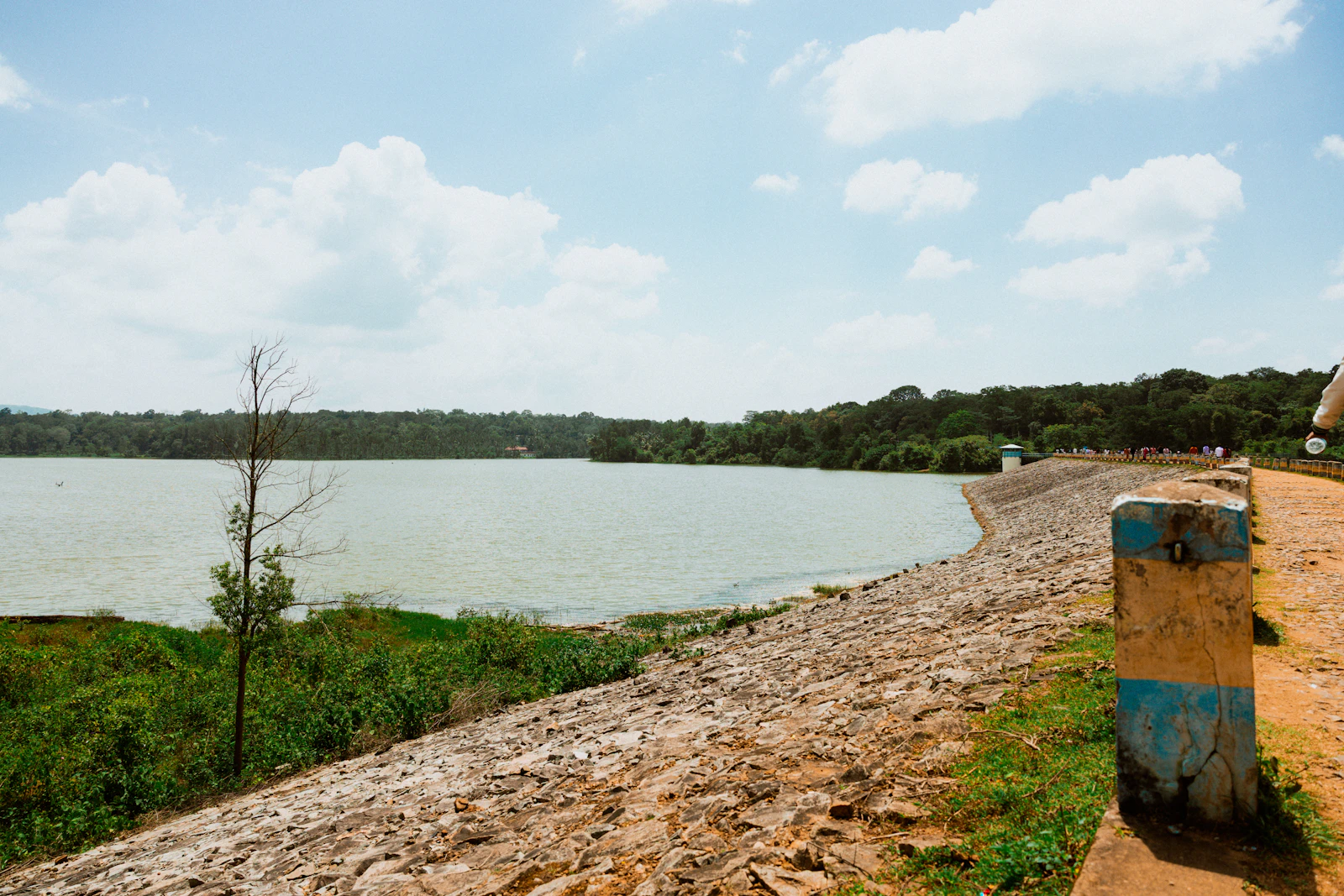 Best of Karnataka — Coorg, Kabini & Mysore